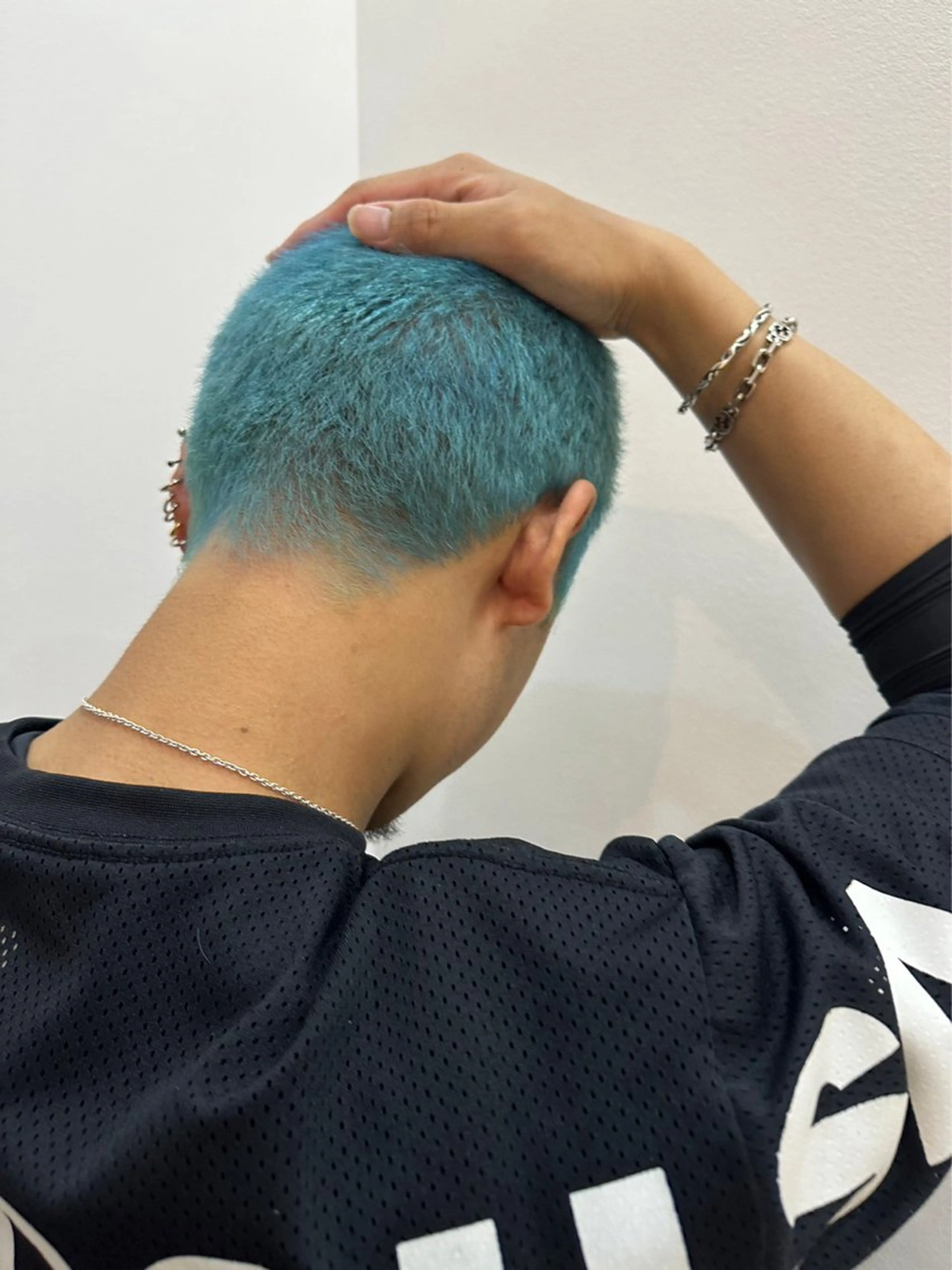 カットモデルの写真