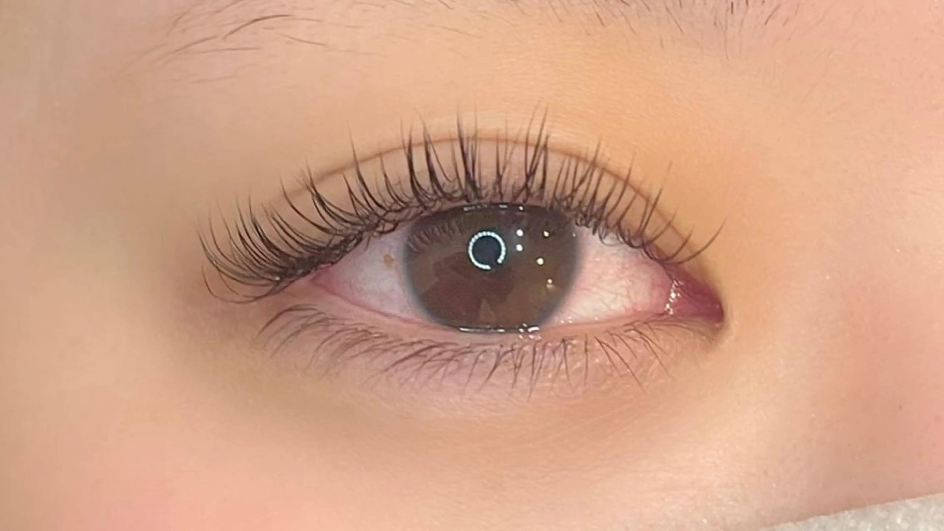マツエク・マツパ フラットラッシュ loa まつ毛と肌管理のお店のマツエク・マツパデザイン