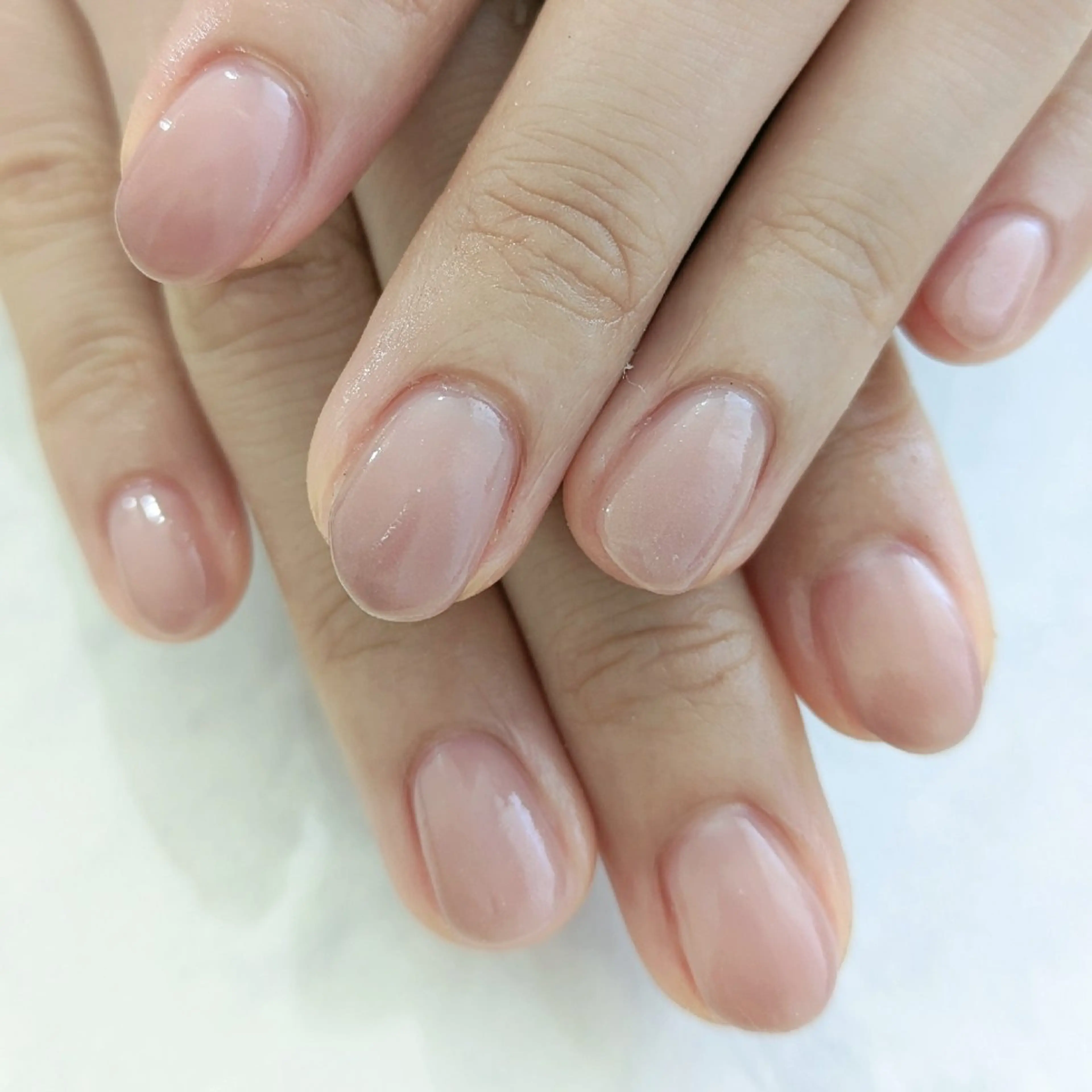 ネイル Gerbera Nailistのネイルデザイン