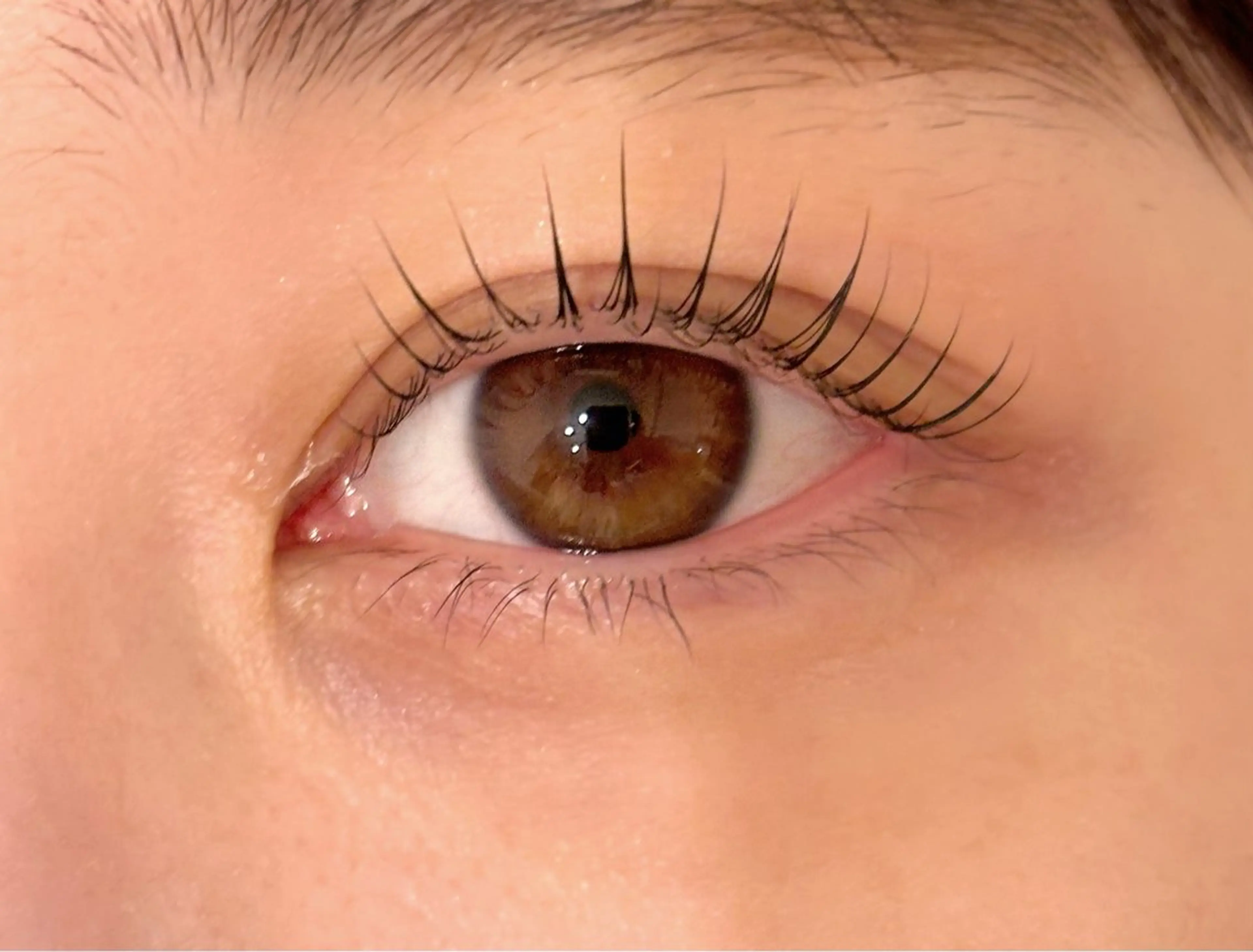 次世代まつ毛パーマの写真