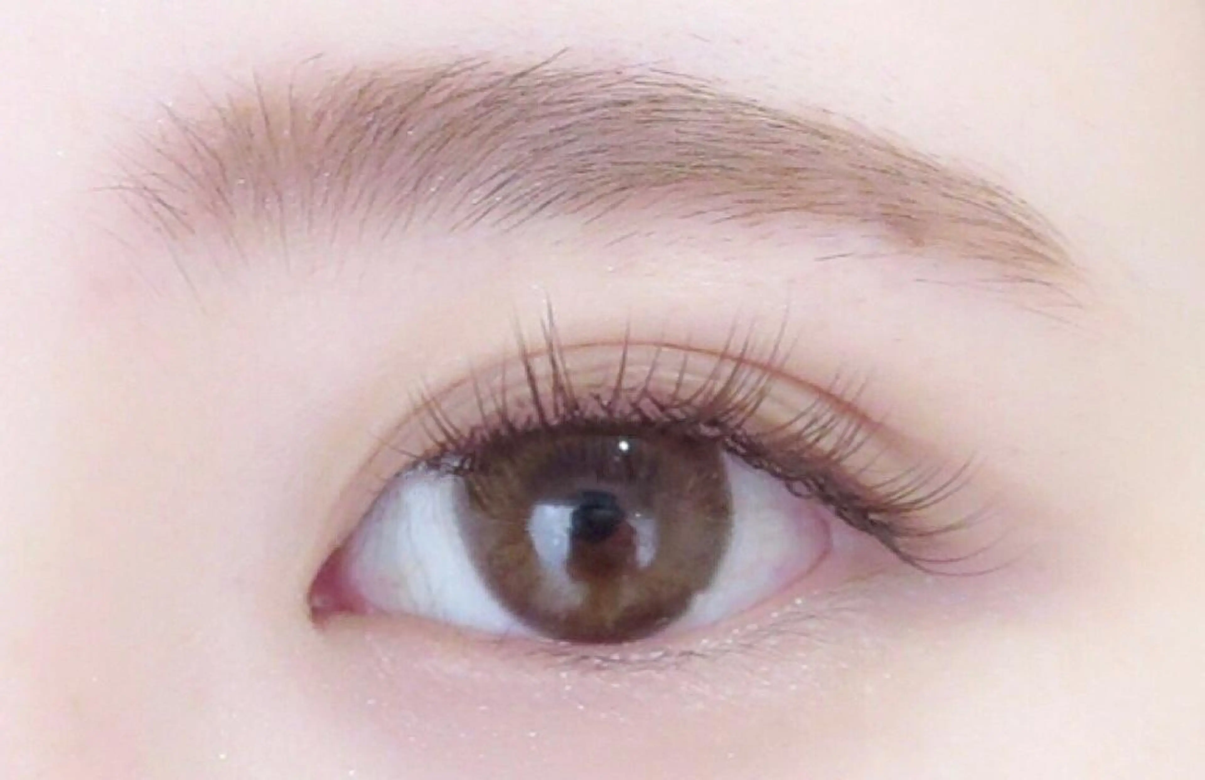 【オフ無料】セーブルエクステ140本4,000円💫カラーエクステ1色無料変更OKの写真