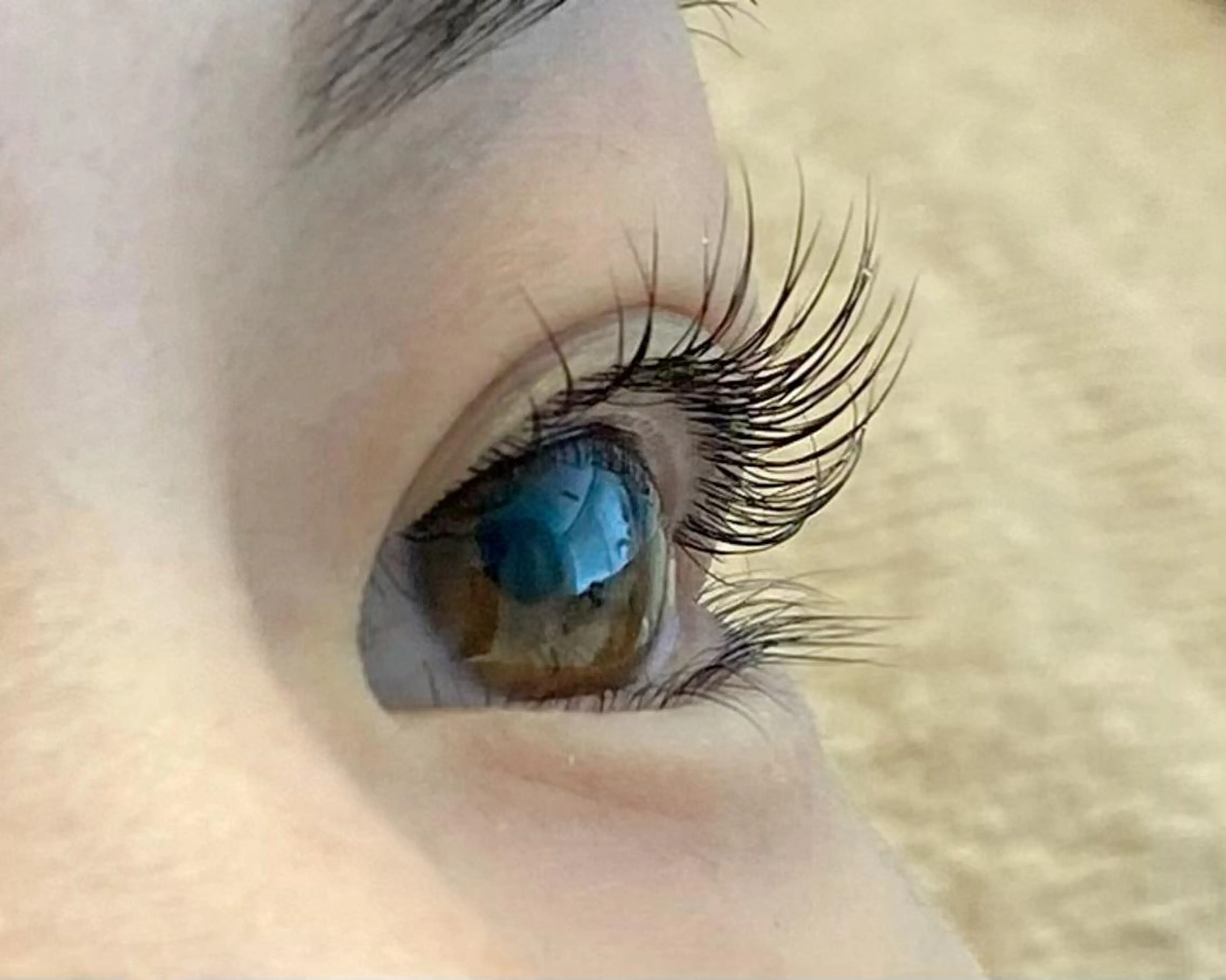 マツエク・マツパ まつげパーマ MiLua 🌙✨のマツエク・マツパデザイン