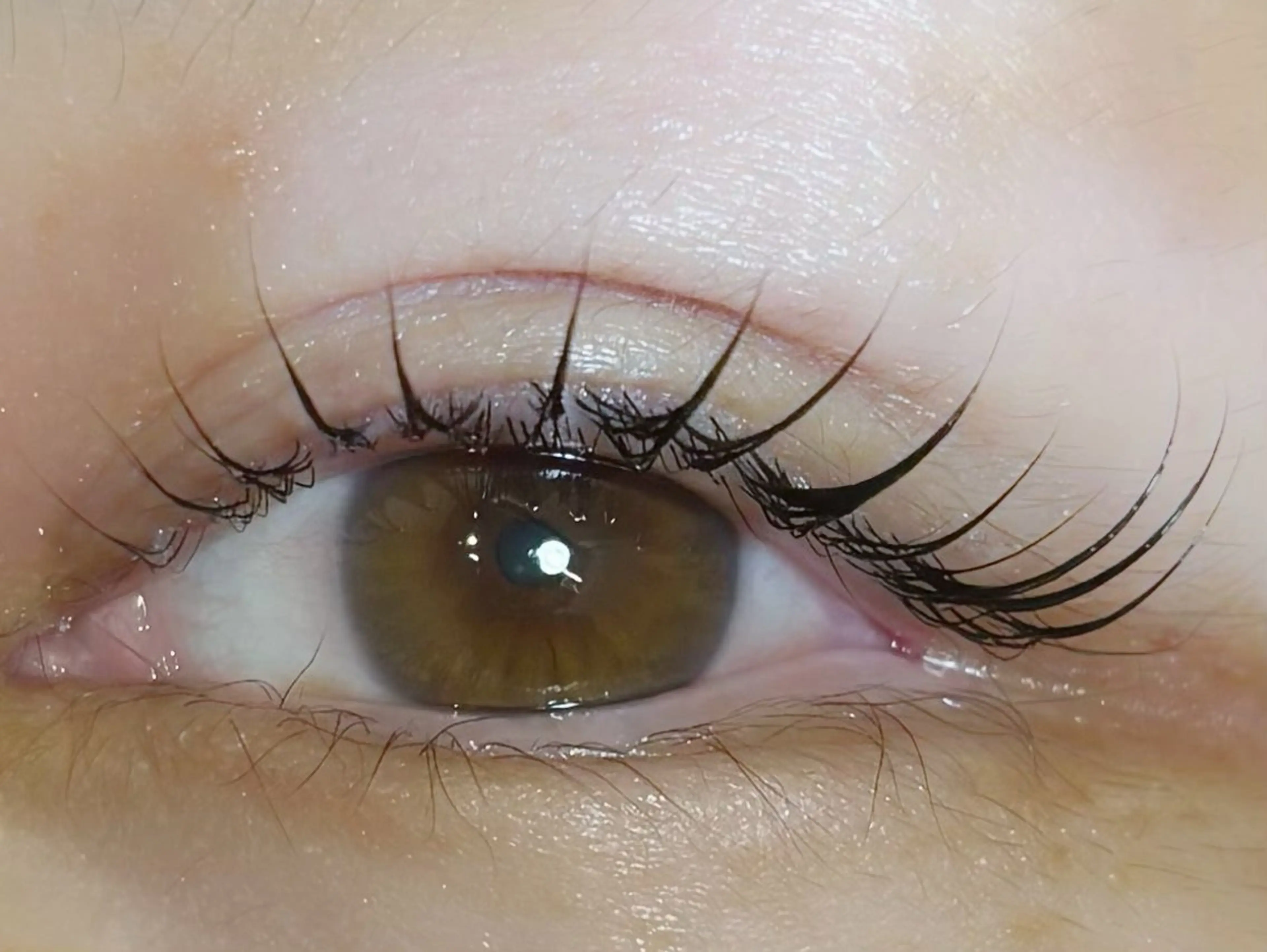 マツエク・マツパ カルフールノア大船/ Ririの眉毛・アイブロウイメージ