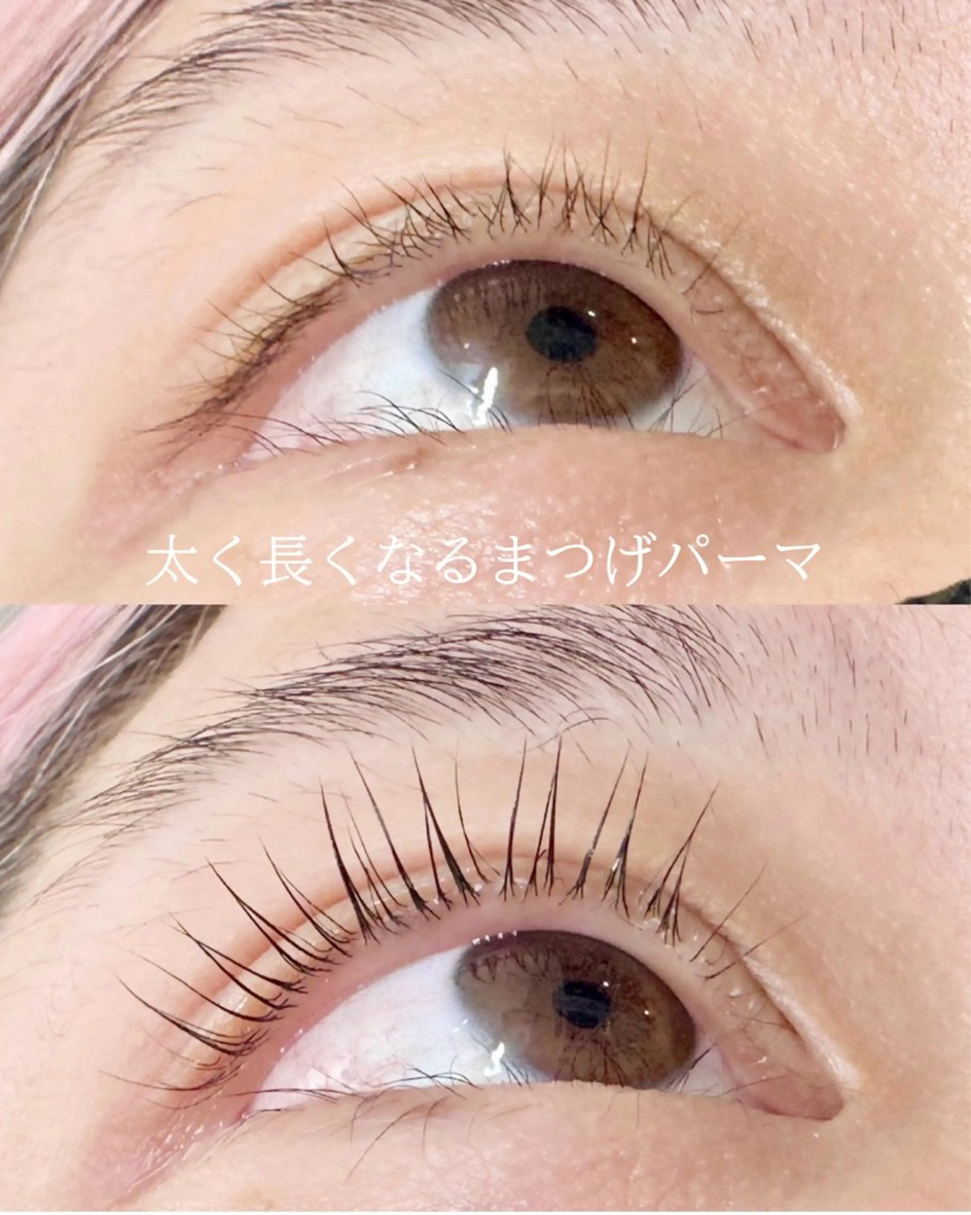 人気No.1 🩷太く・長くなるまつげパーマの写真