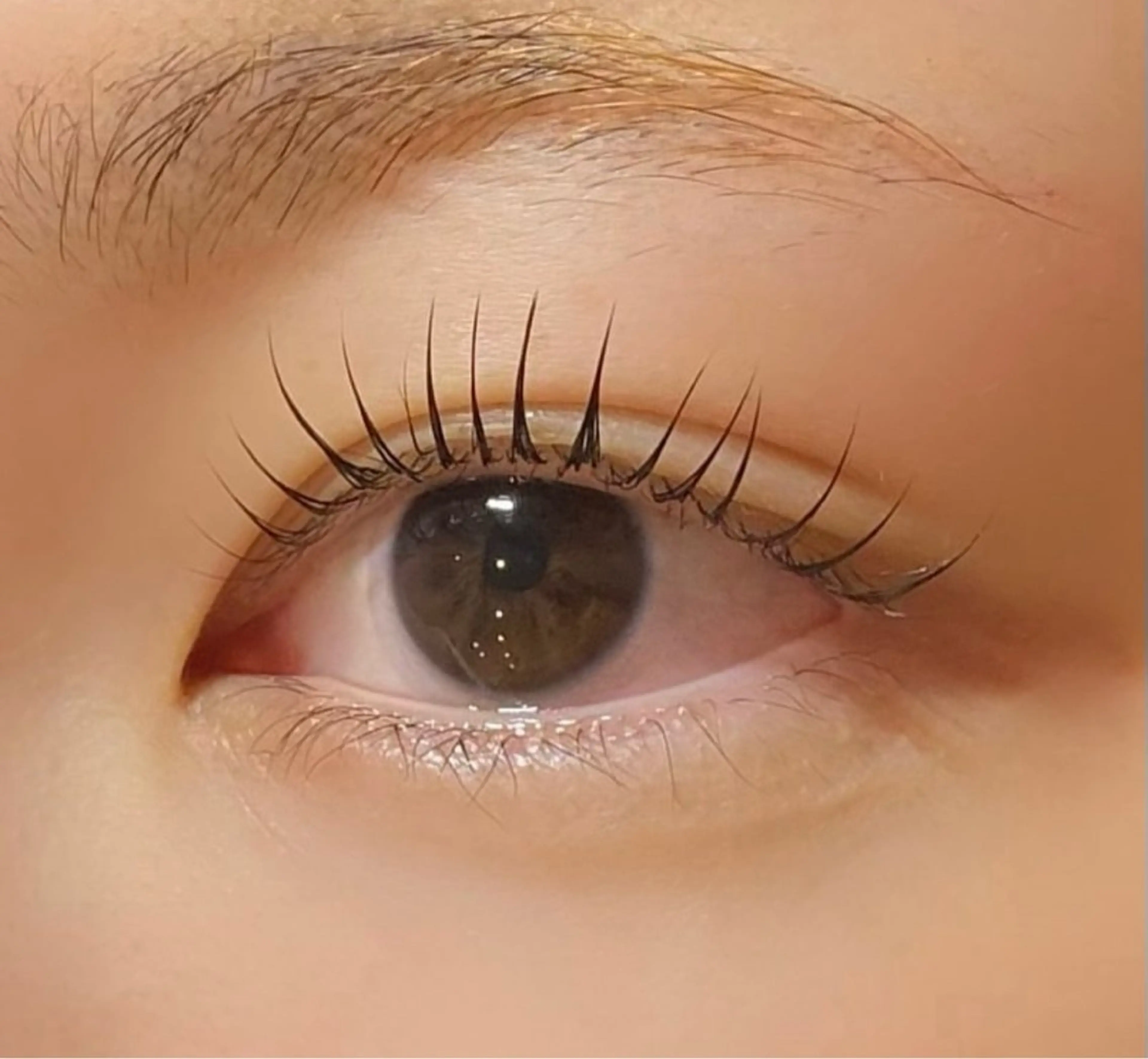 今だけ★韓ドル風まつ毛パーマ5500円の写真