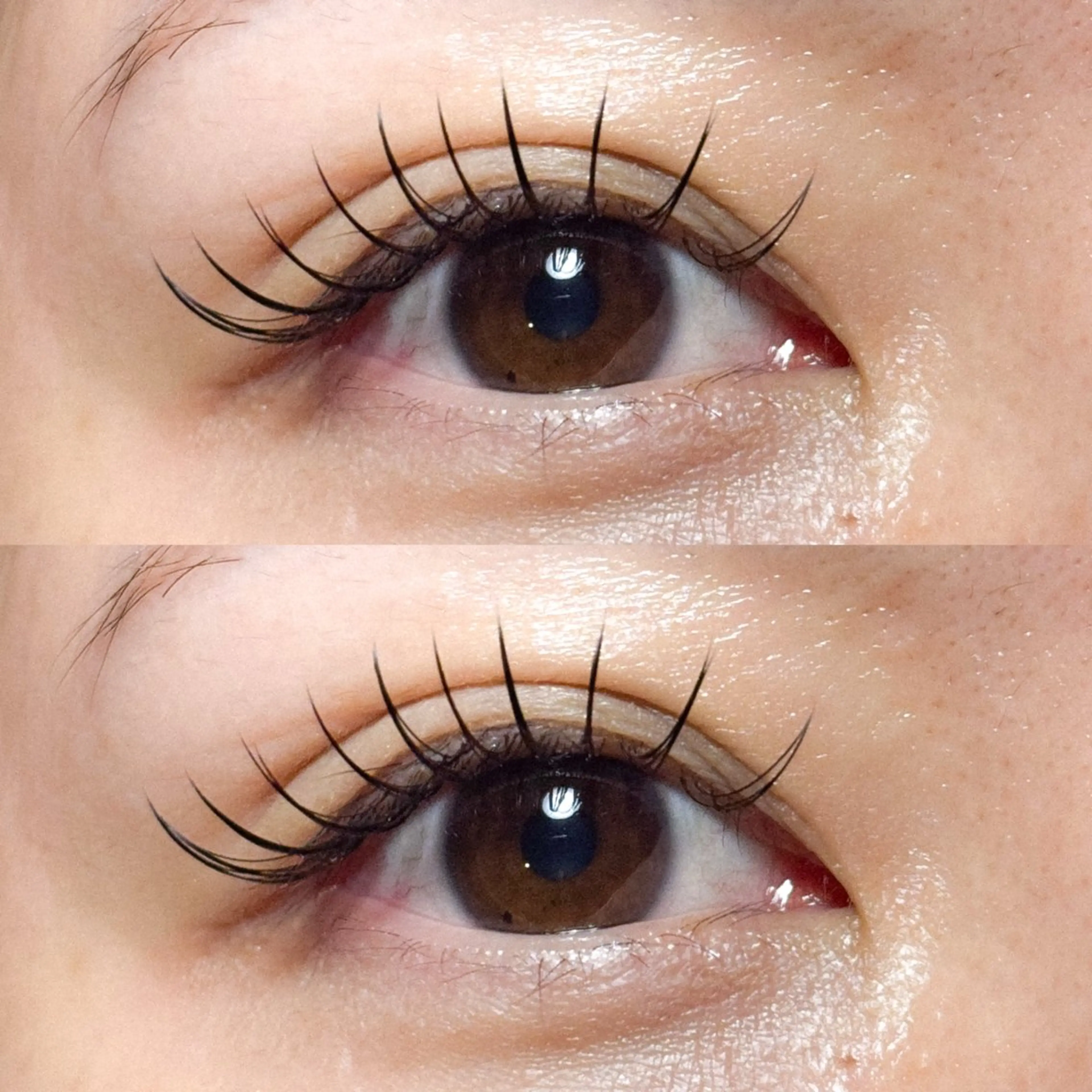 マツエク・マツパ マツエク 向井 萌華の眉毛・アイブロウイメージ