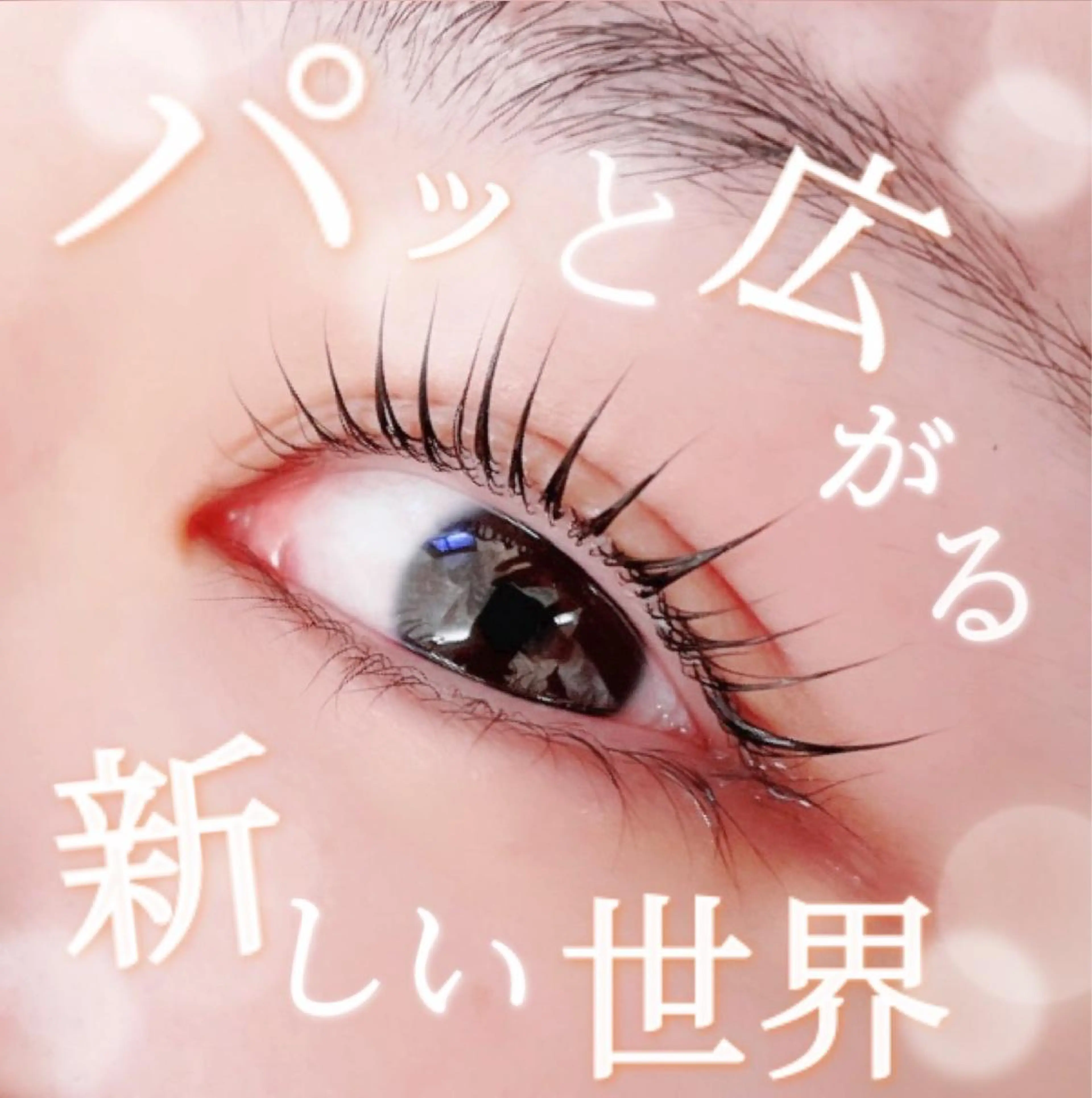 マツエク・マツパ マツパ Sylph　井関 唯のマツエク・マツパデザイン