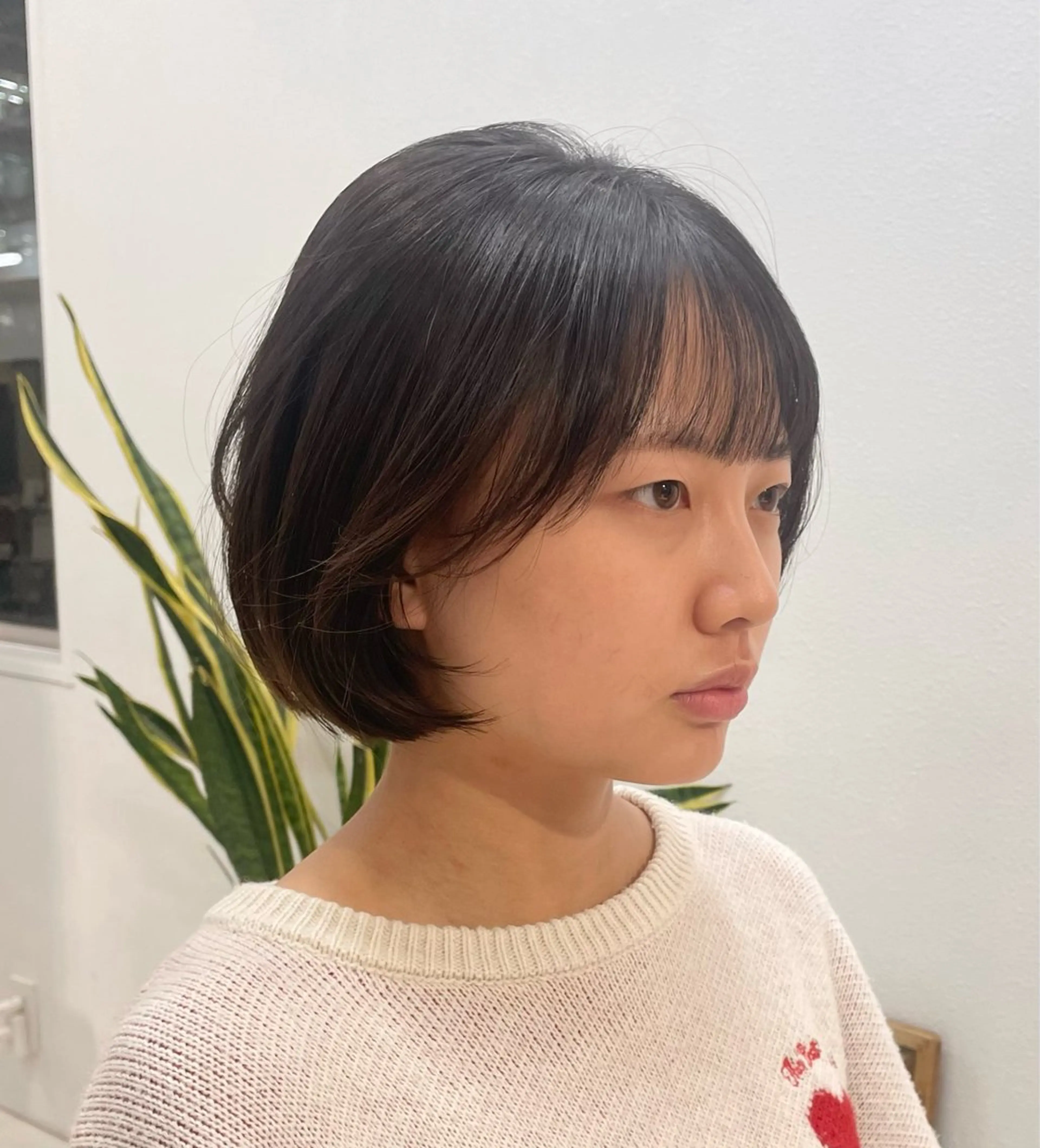 ショート ヘアアレンジ ボブ 顔周りカット 韓国風ヘア 🌼REINA 🌼韓国ボブ🌼赤坂のヘアスタイル