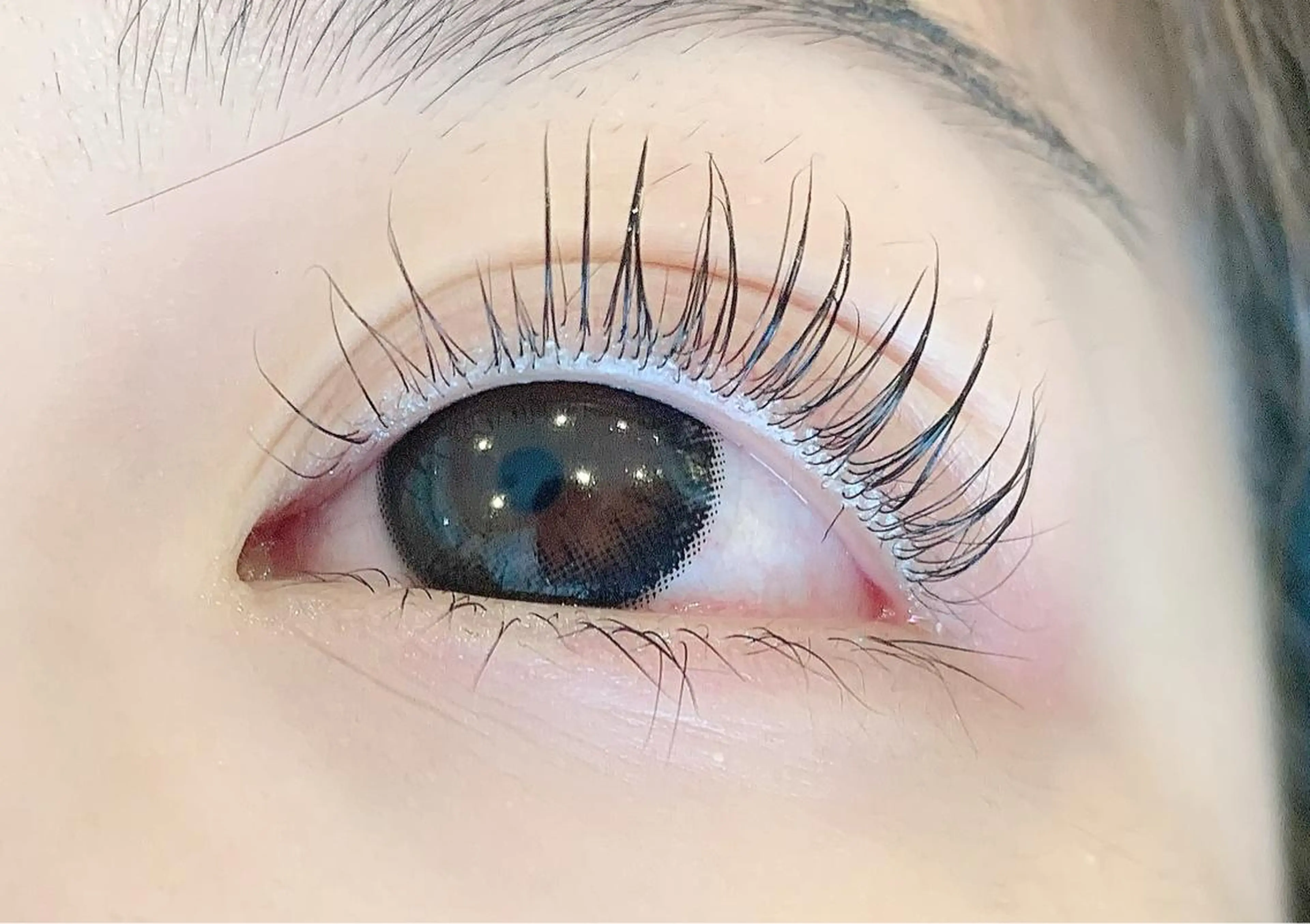 マツエク・マツパ パリジェンヌラッシュリフト Millie ainee 店長　神のマツエク・マツパデザイン