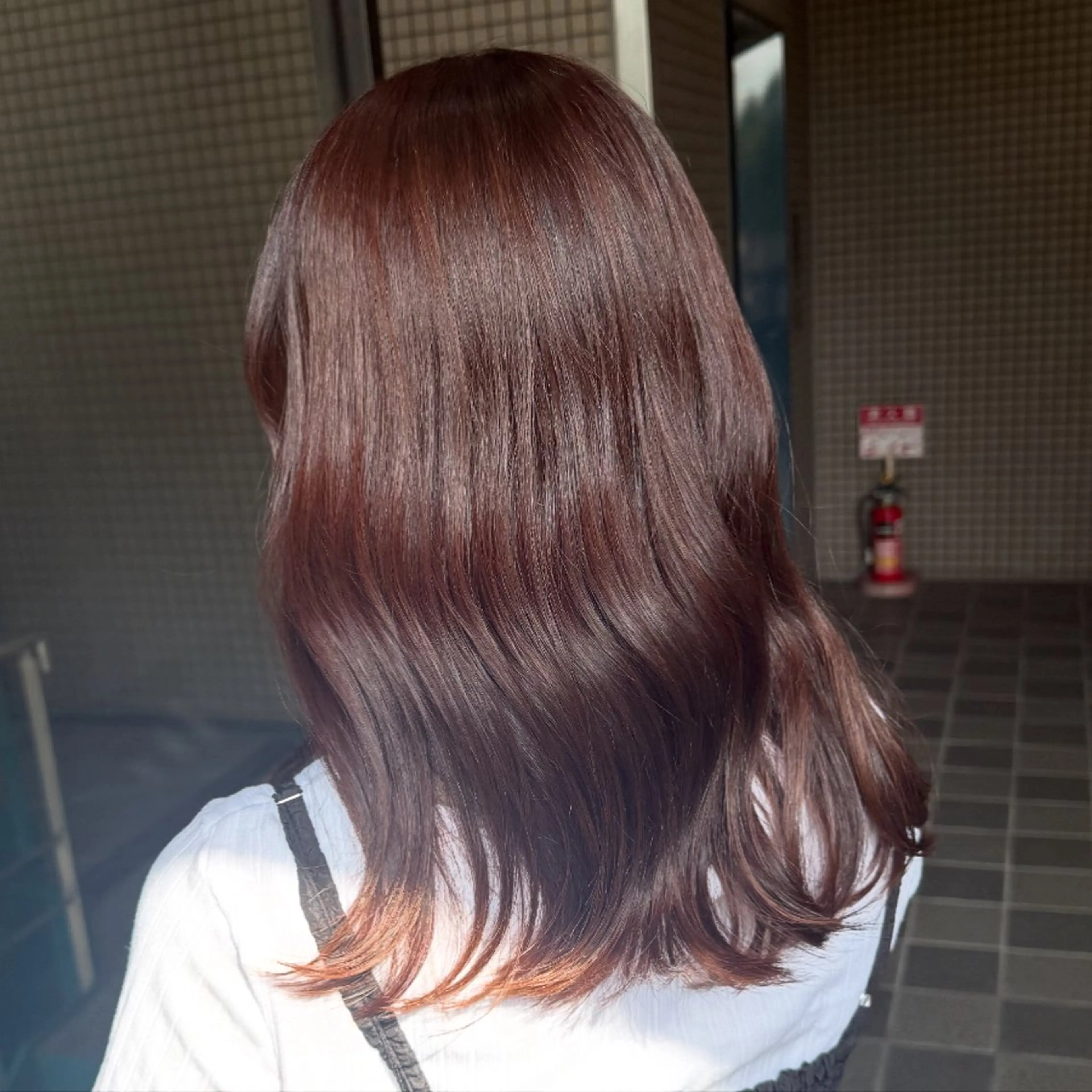 ミディアム レッドブラウン カット ヘアカラー トリートメント 五味優莉🫧 ͛.* 似合わせ/レイヤーのヘアスタイル