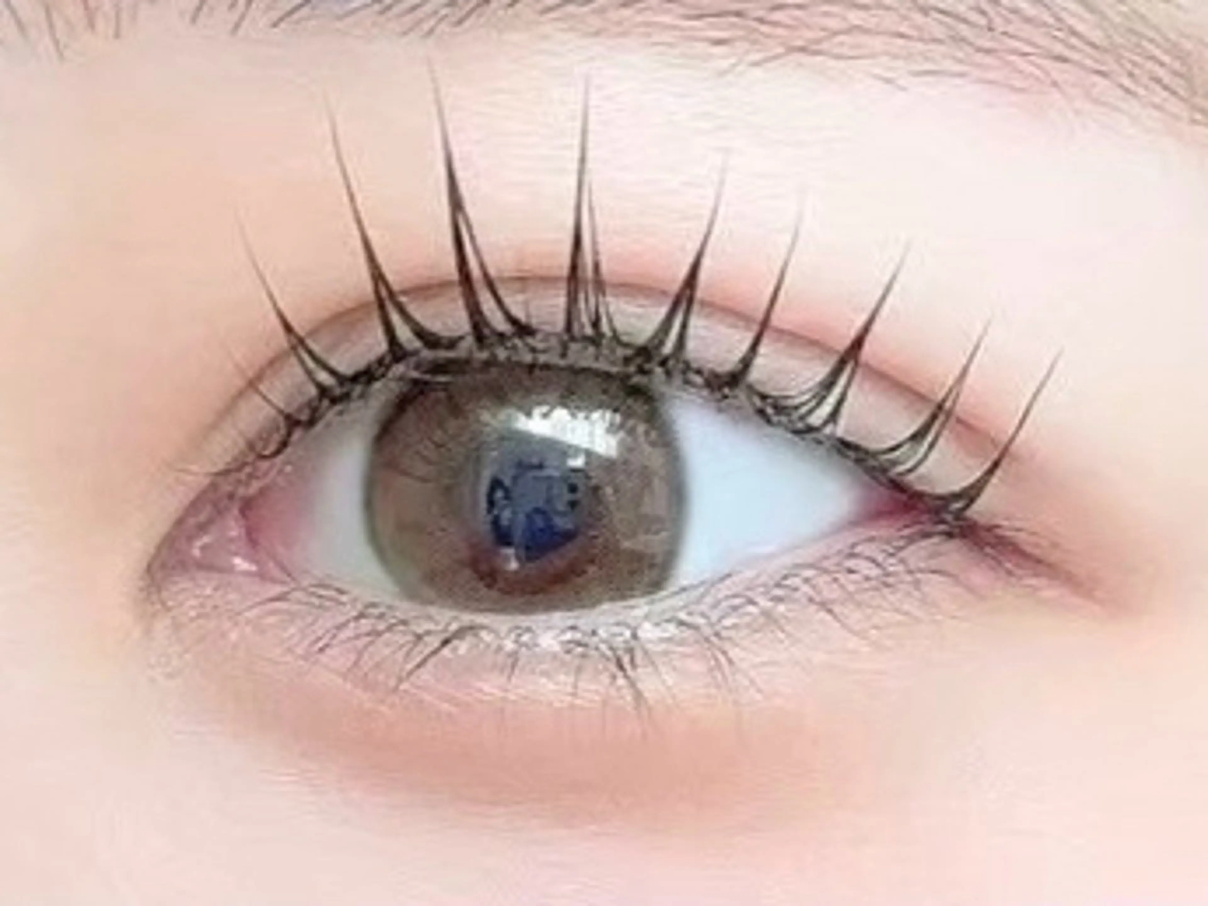 🦋韓国風パーマ🫧の写真