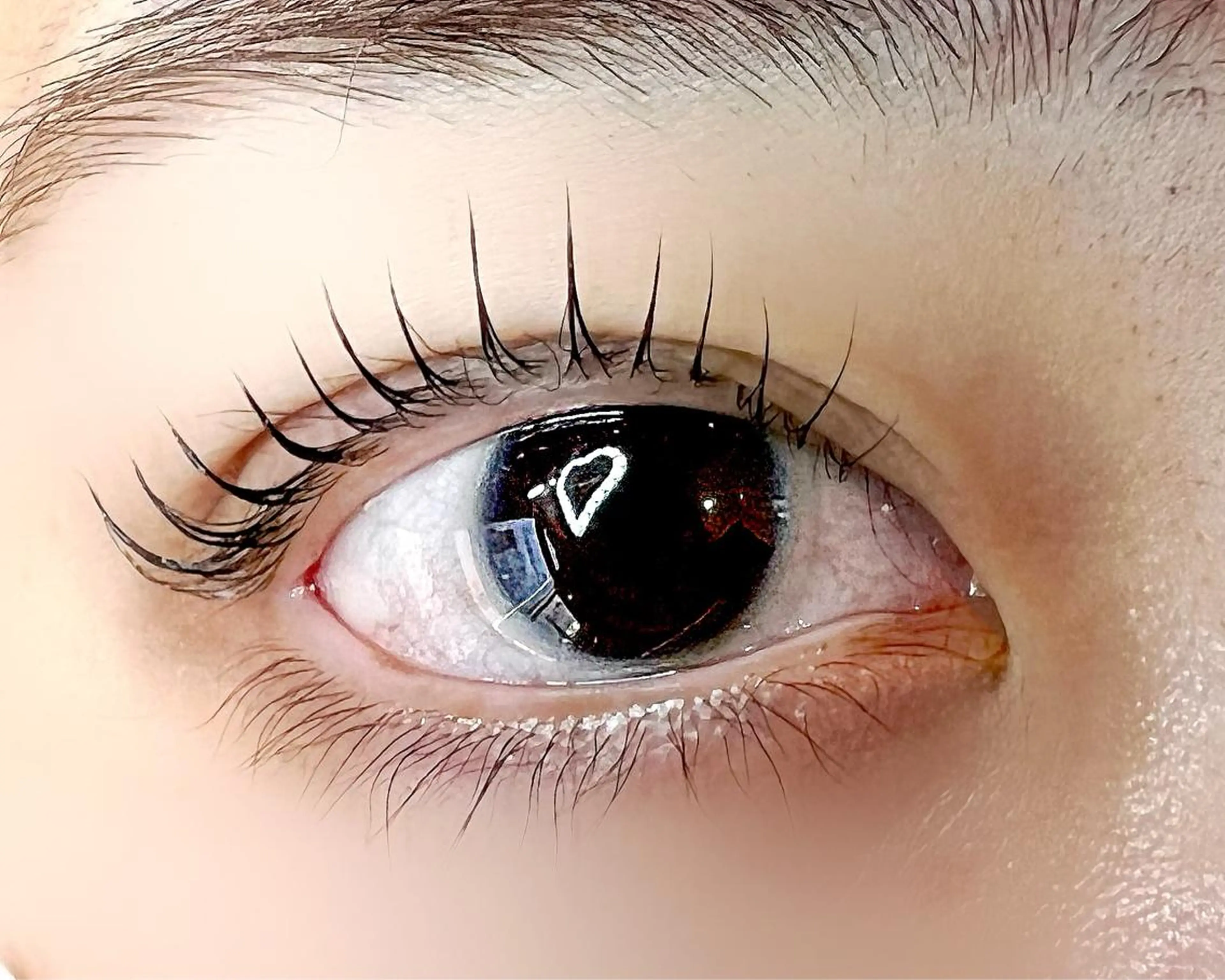 マツエク・マツパ ケラチンラッシュリフト パリジェンヌラッシュリフト 🧸Celeste Venusのマツエク・マツパデザイン