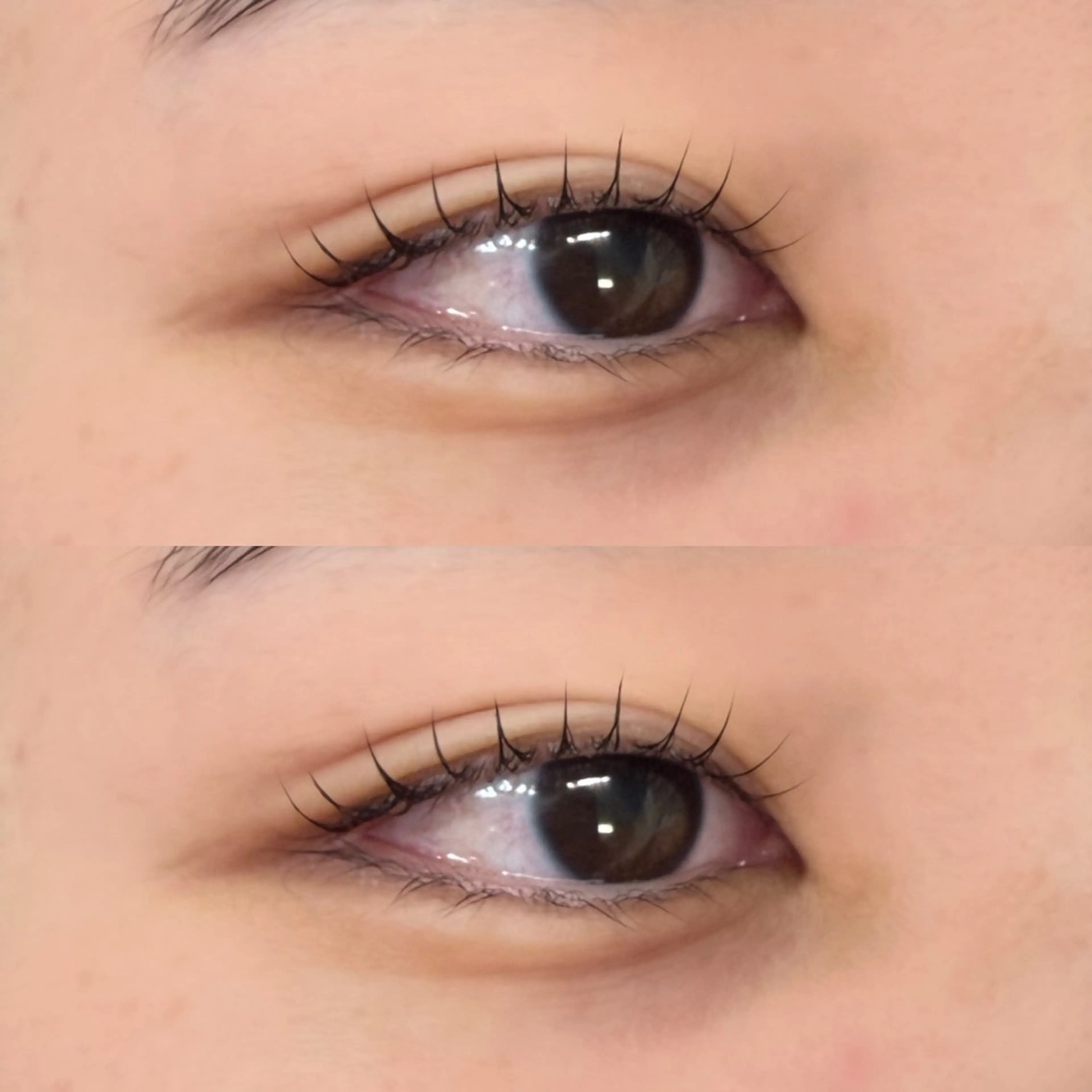 【15~17日限定価格✨️】まつげパーマ上のみ⭐️¥4800→￥3800（高円寺/中野/阿佐ヶ谷）の写真