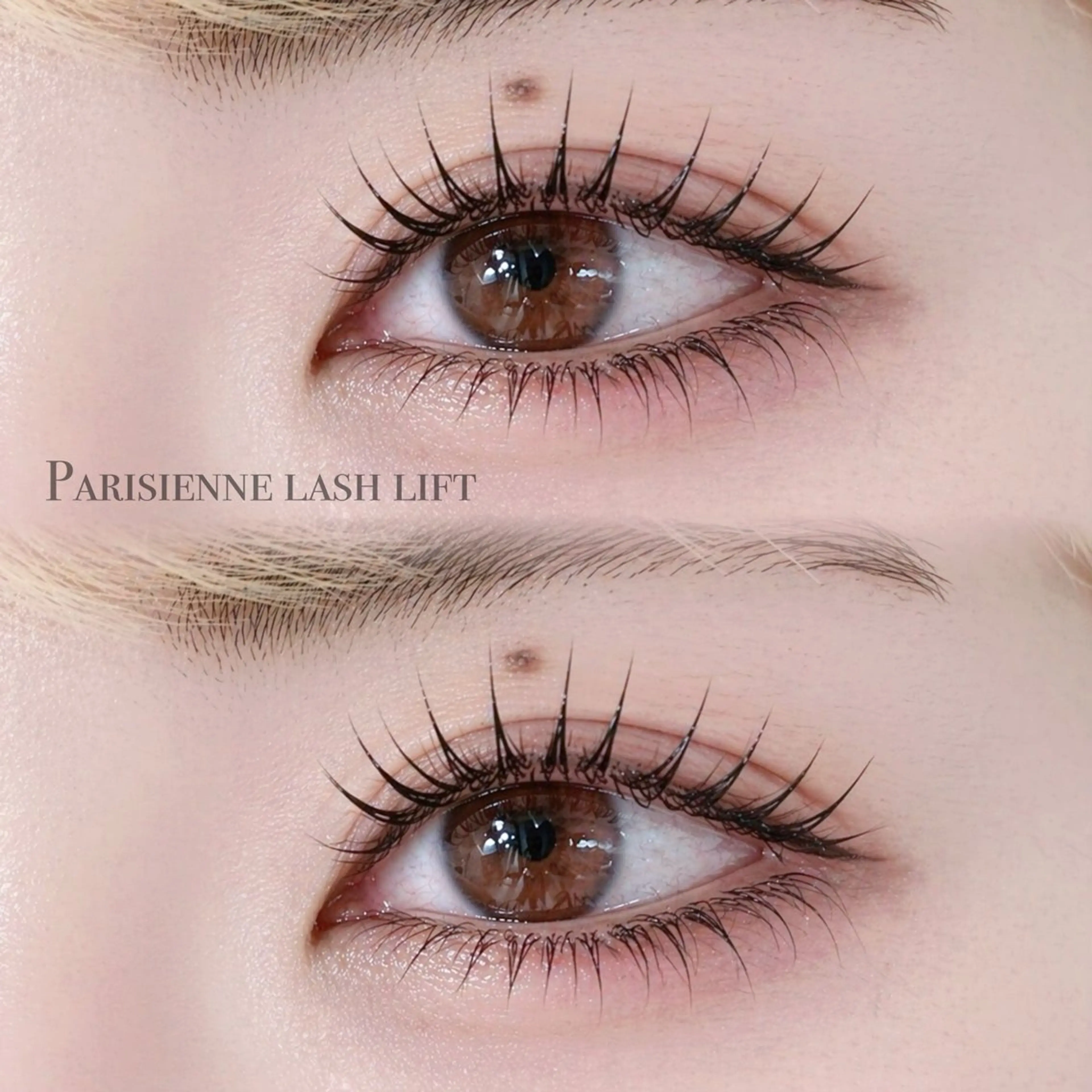 マツエク・マツパ マツパ FOXYLASH難波 sasakiのマツエク・マツパデザイン