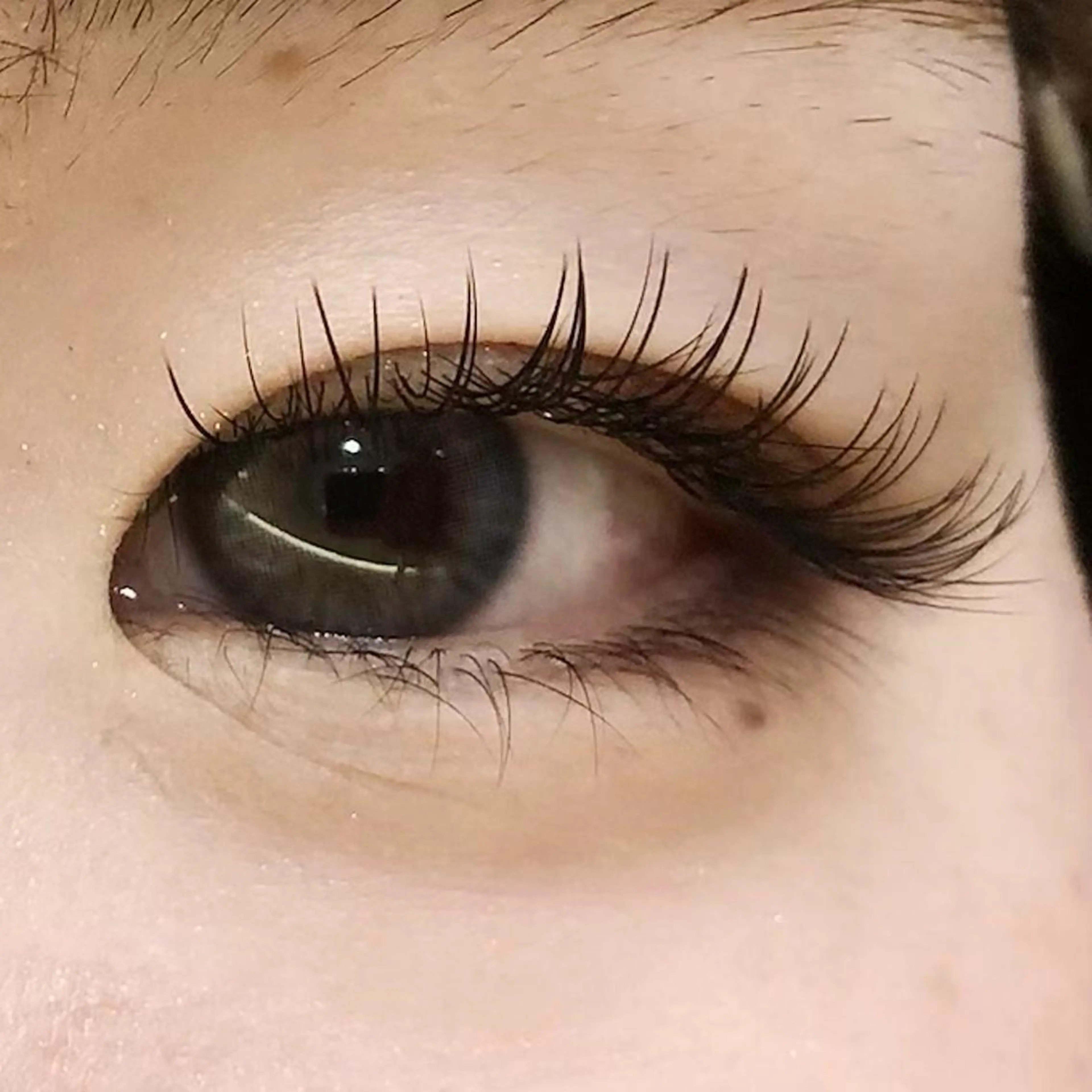 オフ有り LEDエクステ⚠️Jカールのみ(両目80本まで)【お直し不可】の写真