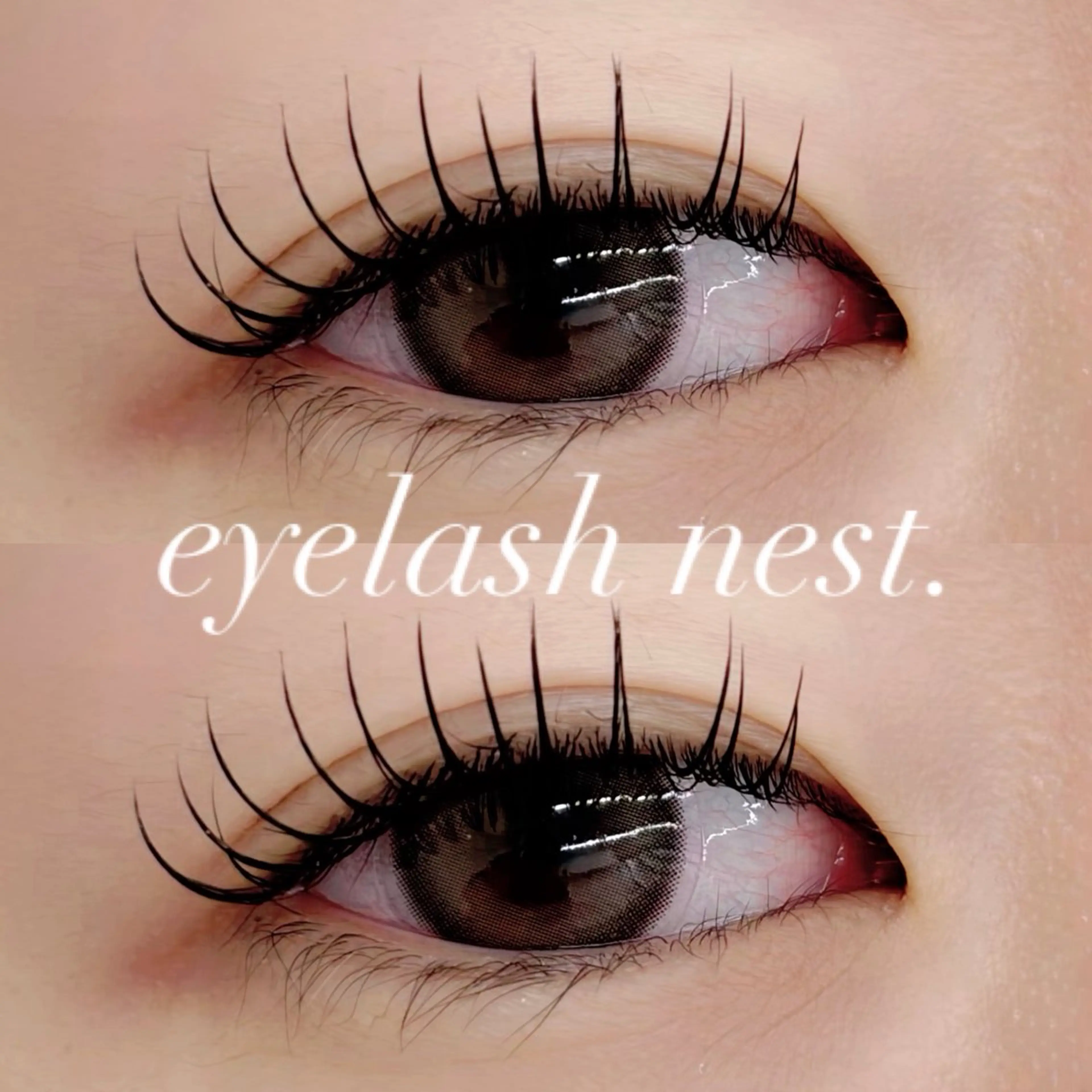 【4月ご新規様限定🎀】フラットラッシュ付け放題(オフ込)+美容液コーティング付の写真