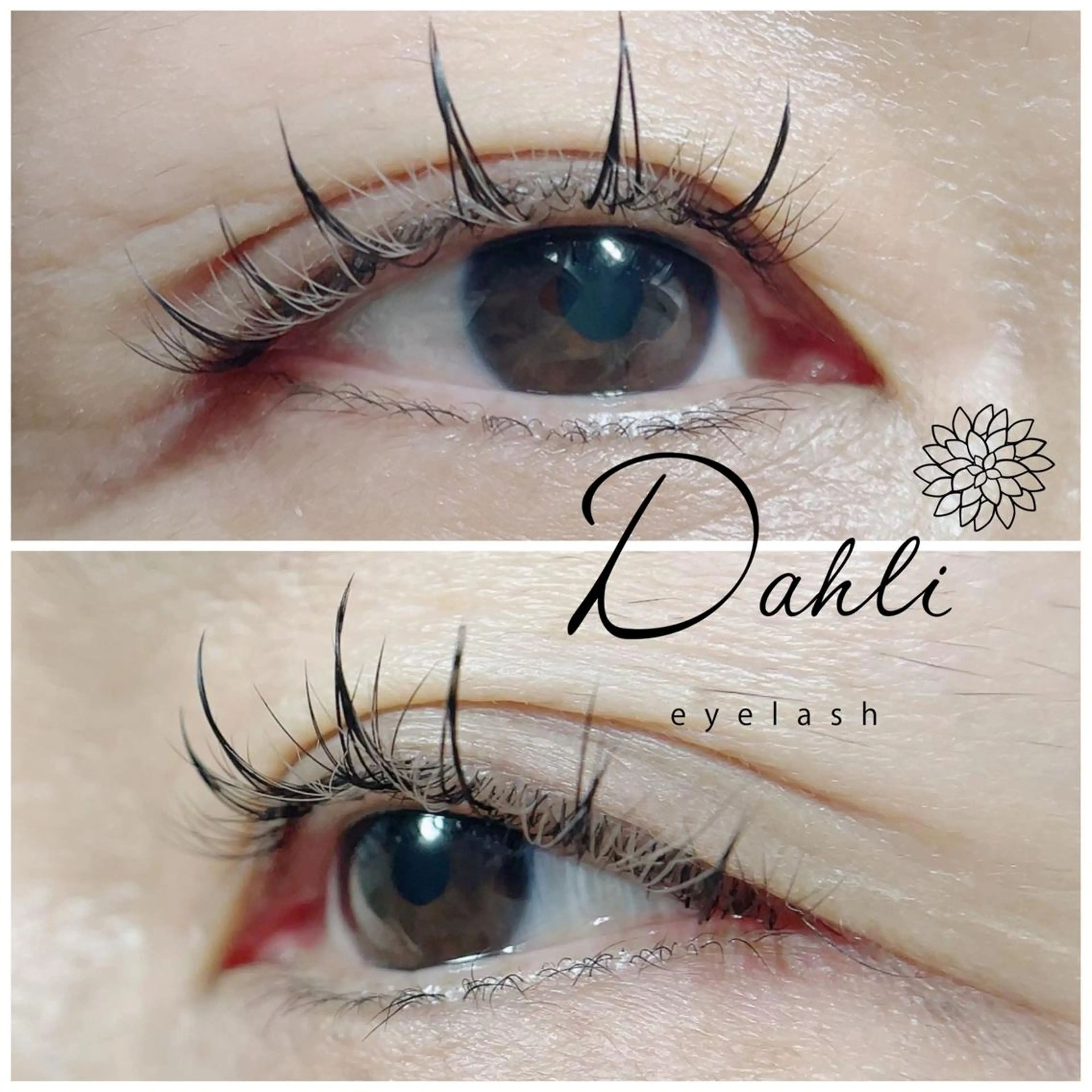 マツエク・マツパ Dahli eyelashのマツエク・マツパデザイン