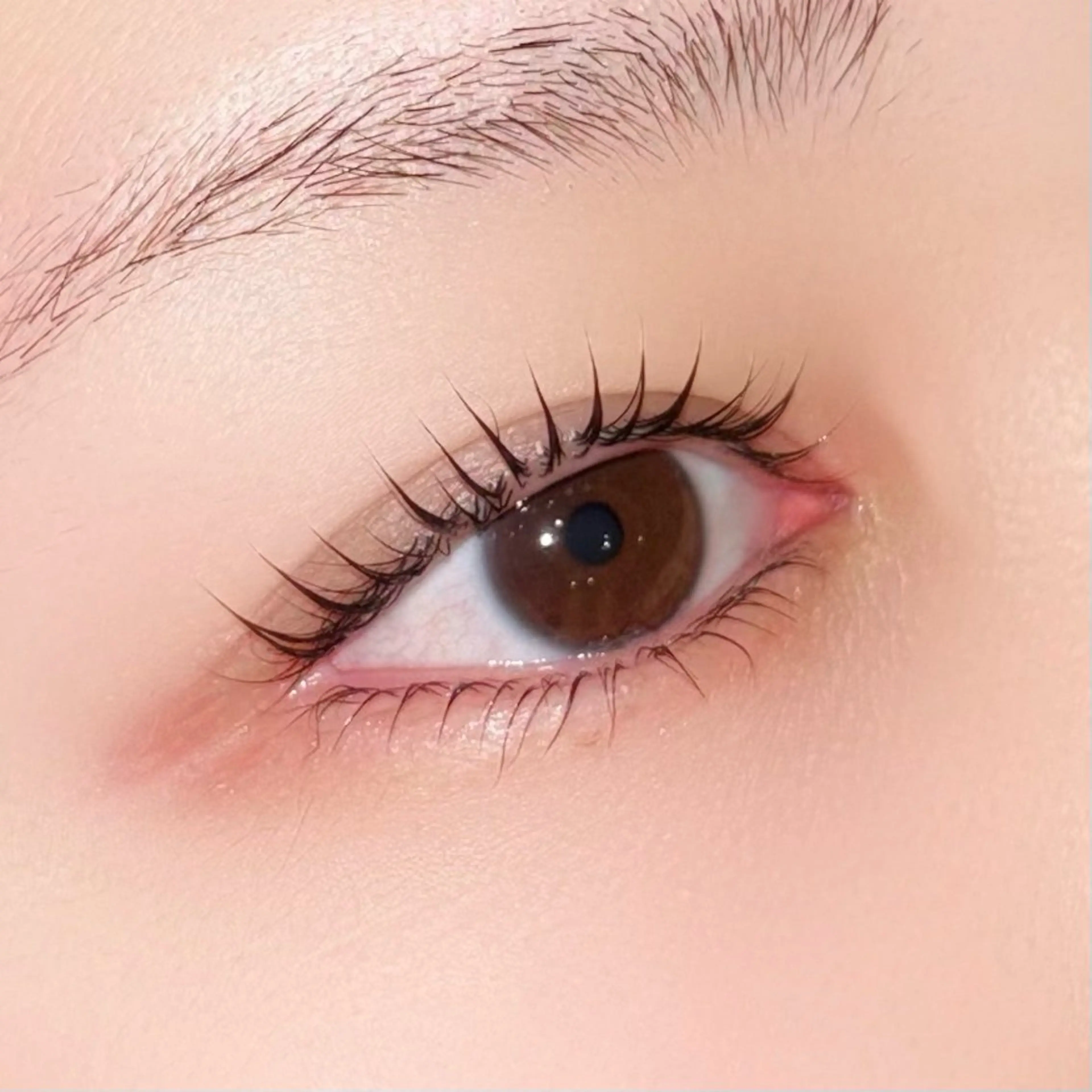 マツエク・マツパ パリジェンヌラッシュリフト まつげパーマ 下まつげエクステ HooK Sayaka🎀のマツエク・マツパデザイン