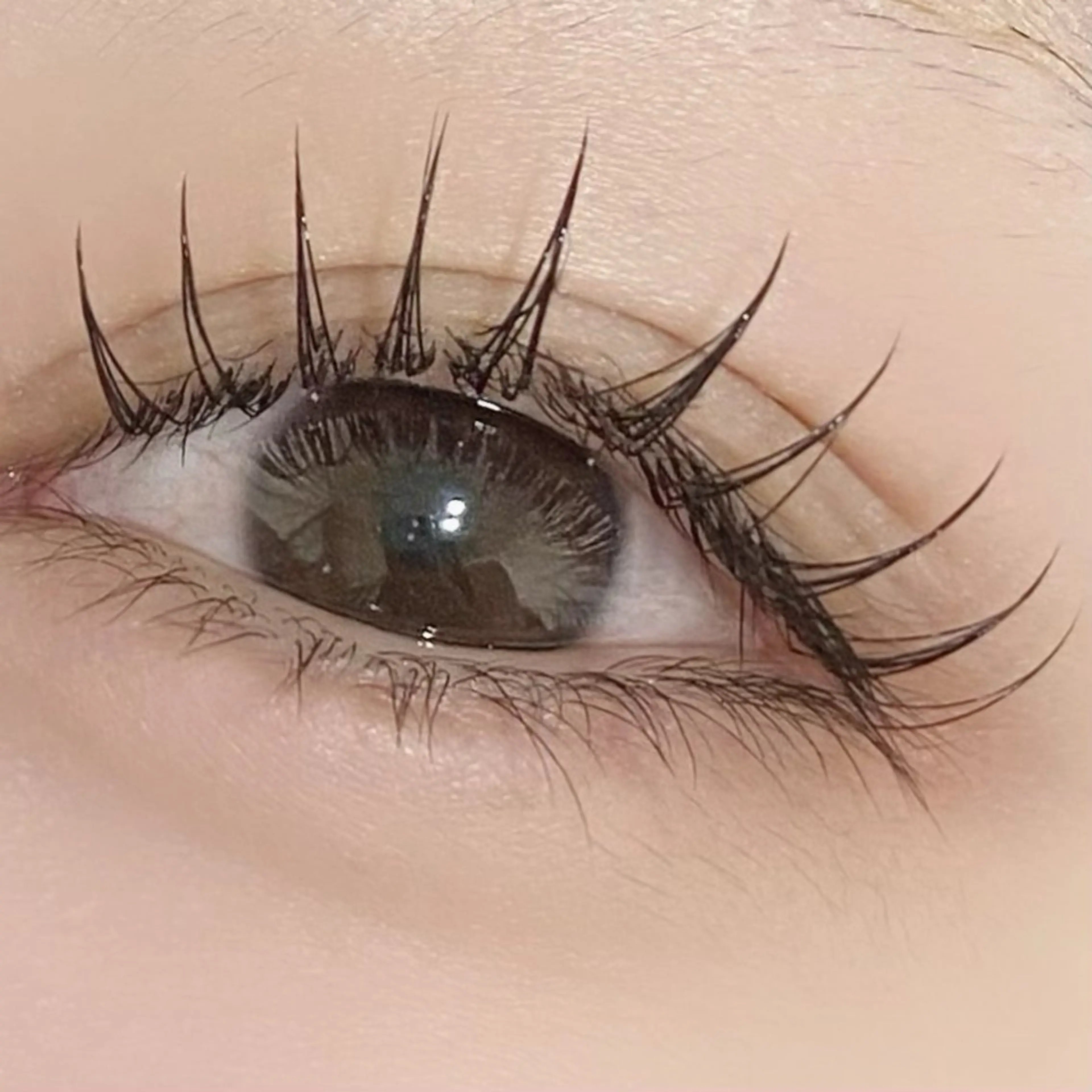 【マツエク】🔥ミニモ限定🔥<フラットラッシュ100本>オフ無料の写真