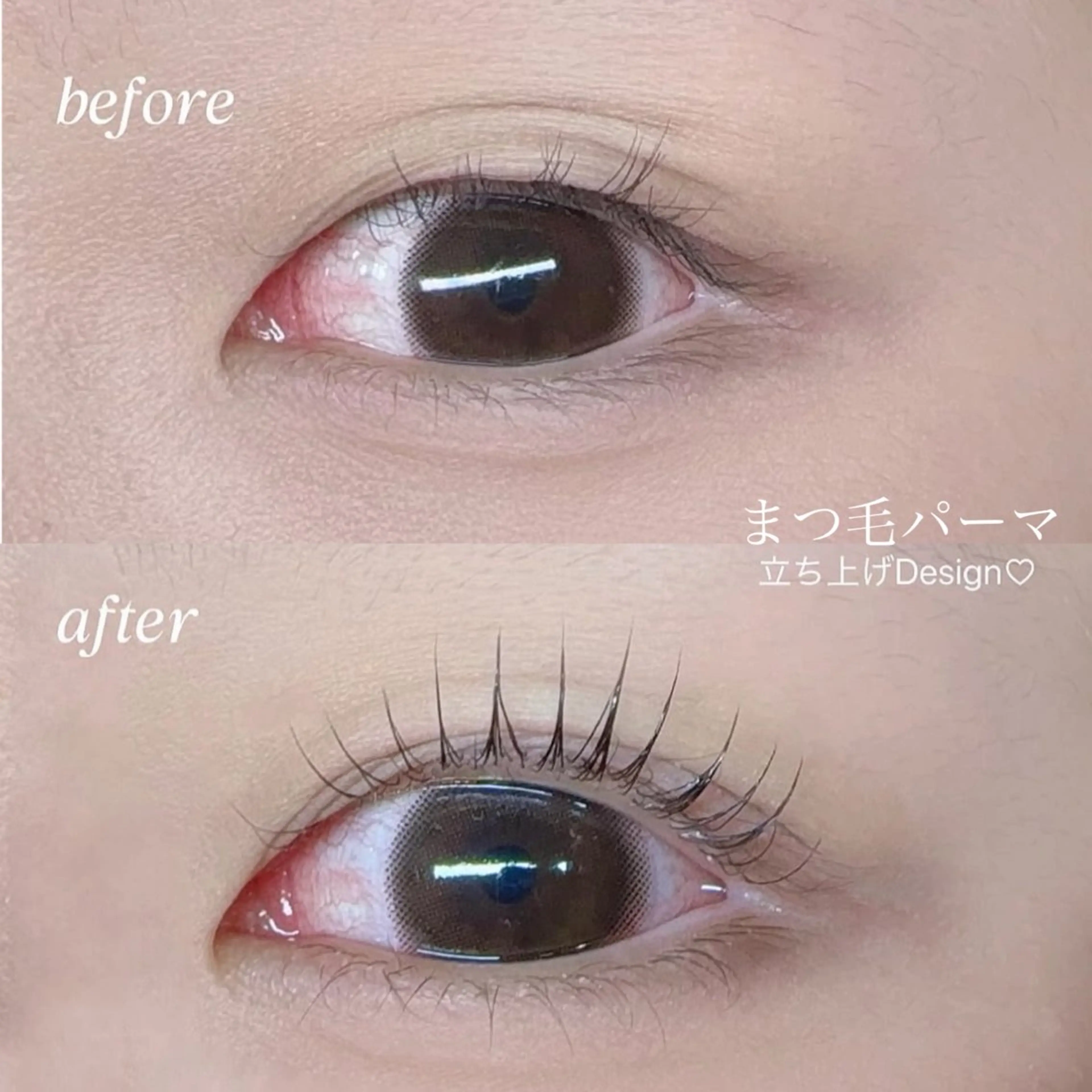 マツエク・マツパ 一重×まつ毛パーマ マツパ 榎本 仁菜 ♡全ﾒﾆｭｰLED可のマツエク・マツパデザイン