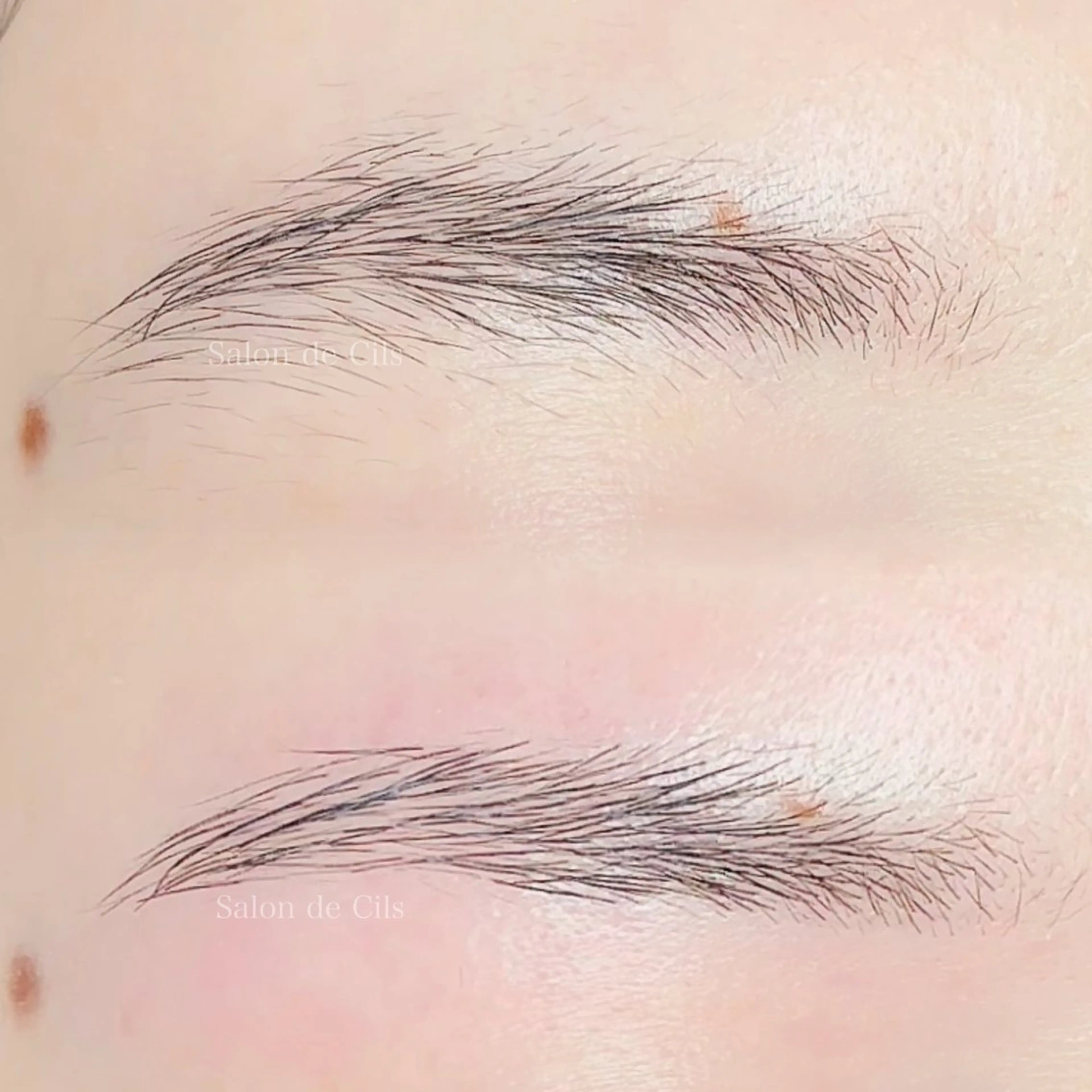 アイブロウ Salon de Cilsのマツエク・マツパデザイン