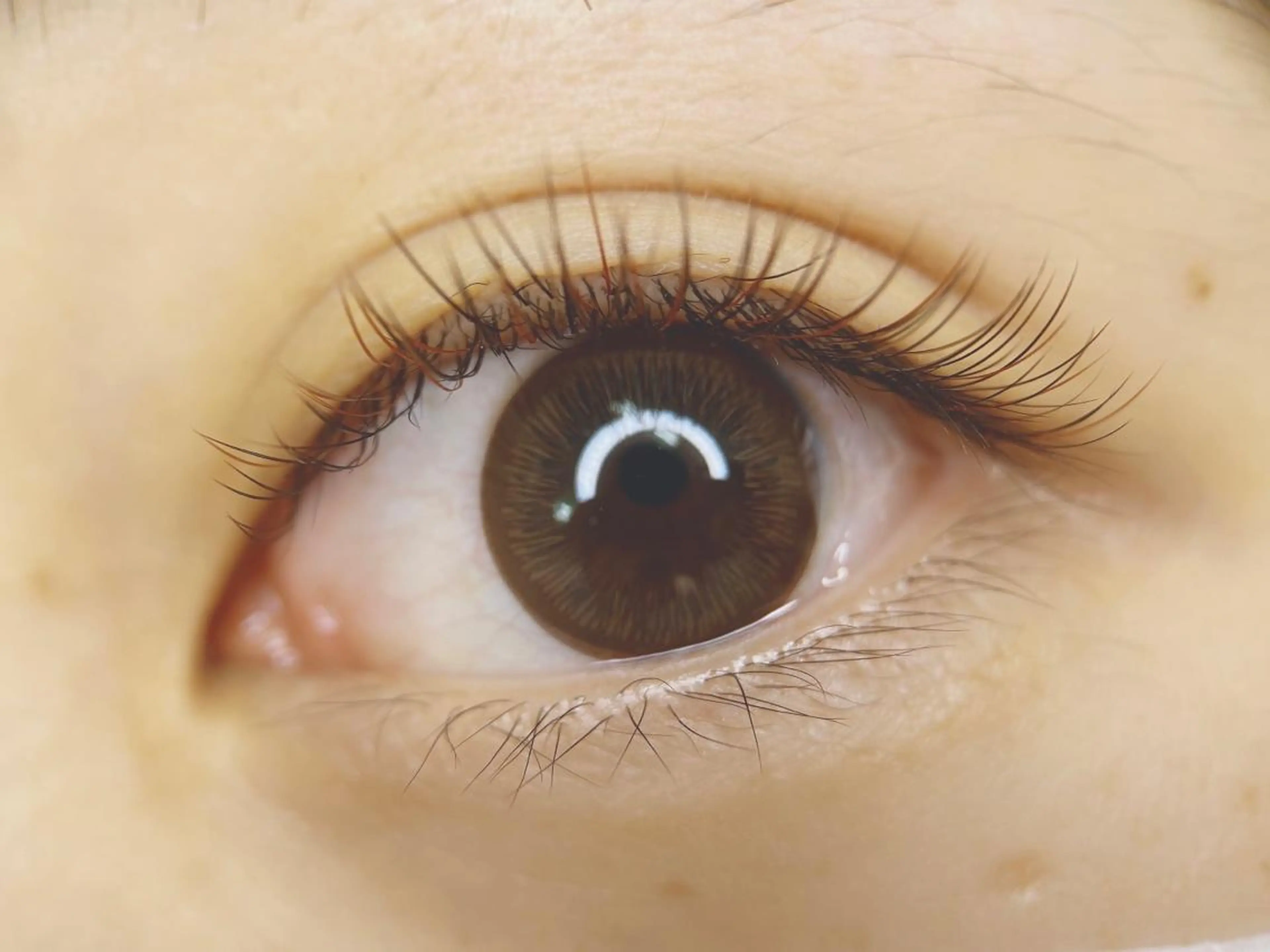 マツエク・マツパ フラットラッシュ マツエク Eyelash salon kukuna所属・まつ毛サロン Kukunaのマツエク・マツパデザイン