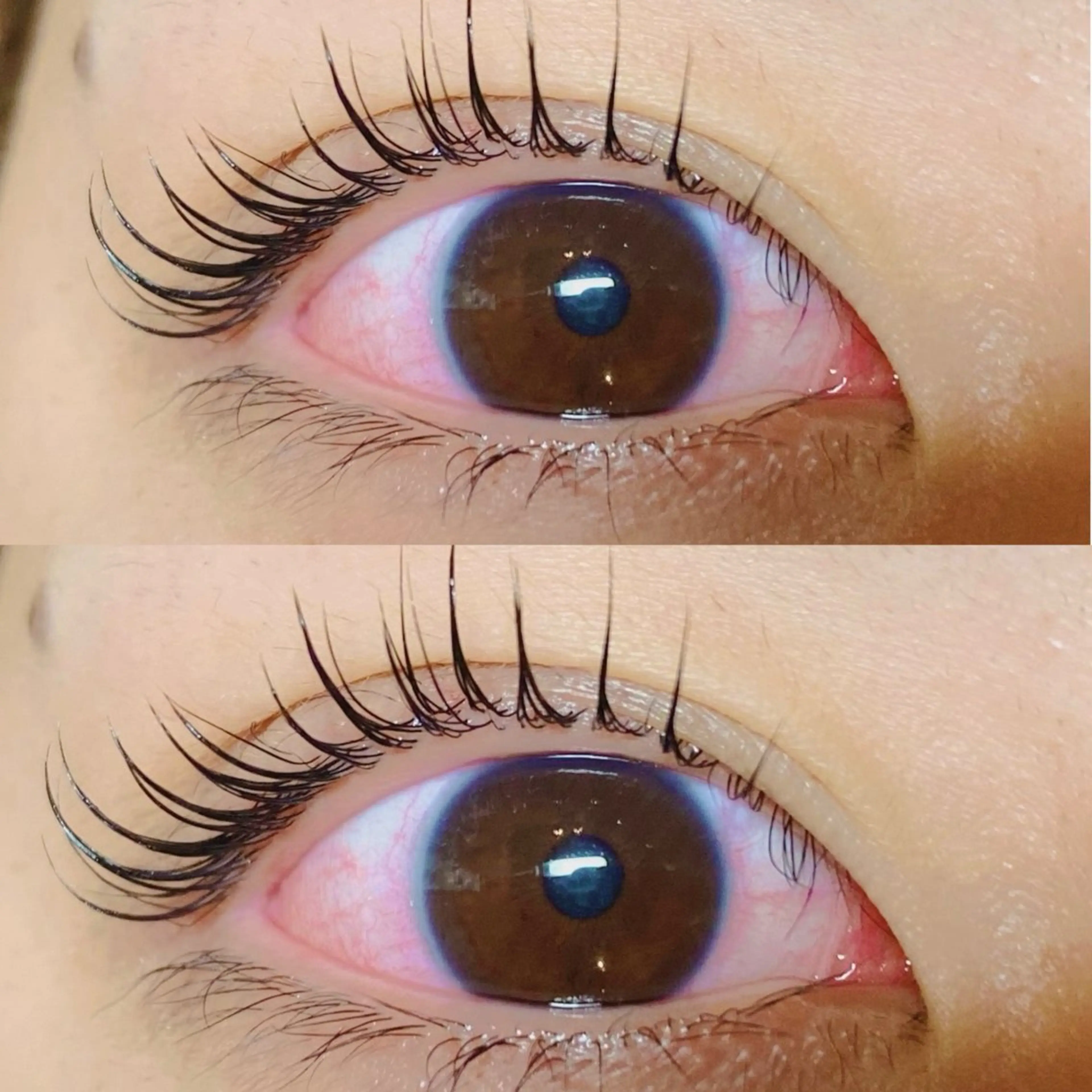 💎ラッシュリフト💎お好きなカール選べます！の写真