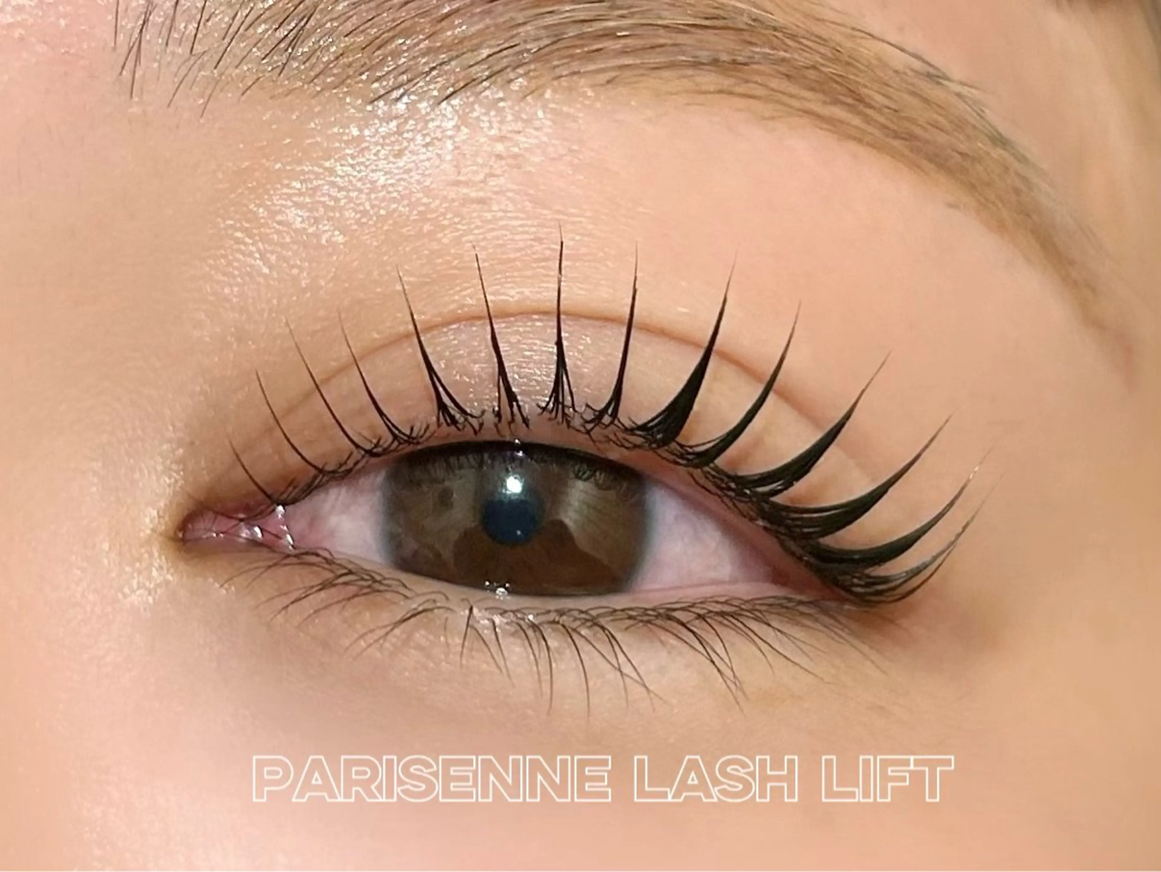 4/10.12minimo限定価格🌿似合わせラッシュリフト(パリジェンヌ込み立ち上げデザイン)+コーティングの写真