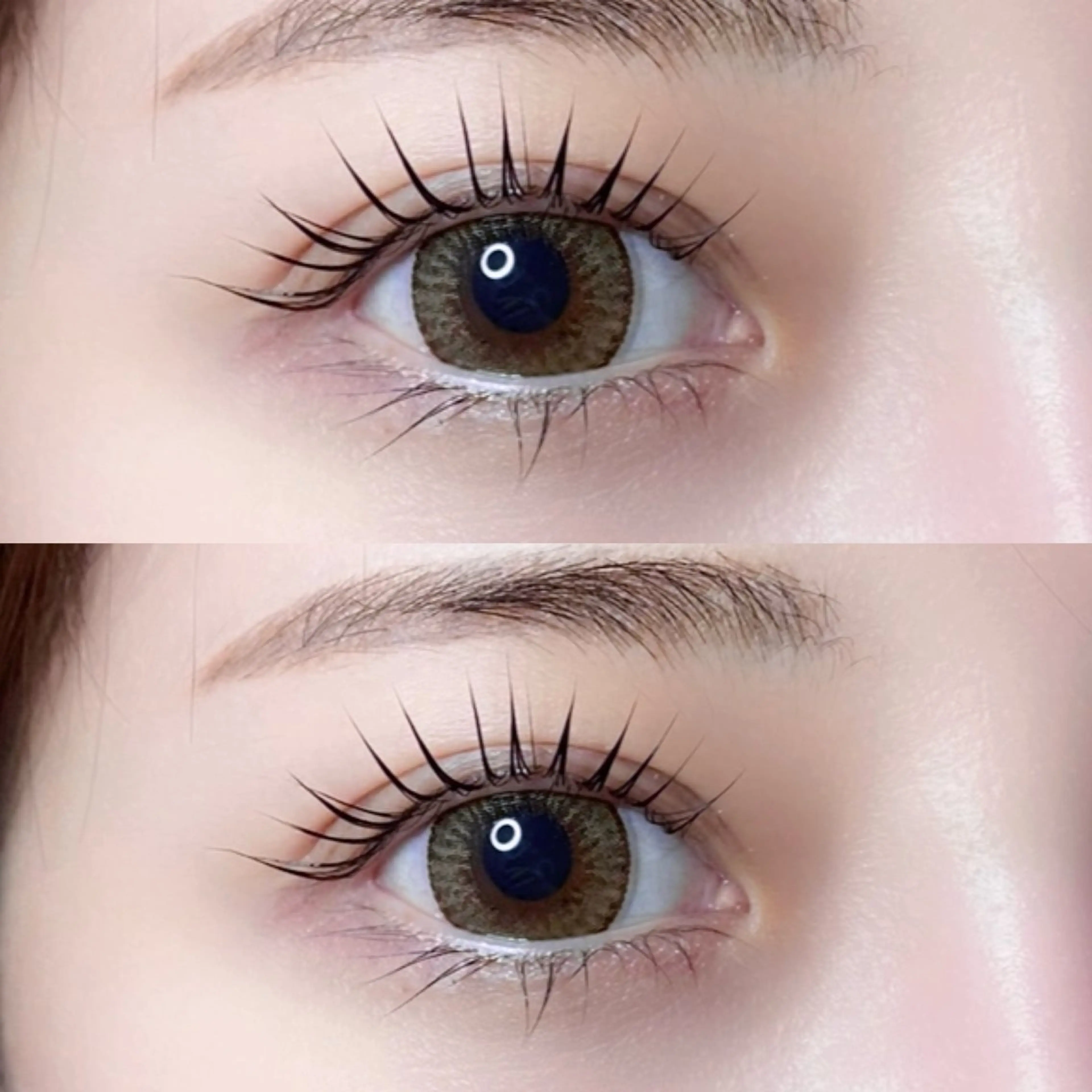 🌟モデル募集🌟4月16​〜​20日10:00～🎀パリジェンヌラッシュリフト🎀束感コーティング付の写真