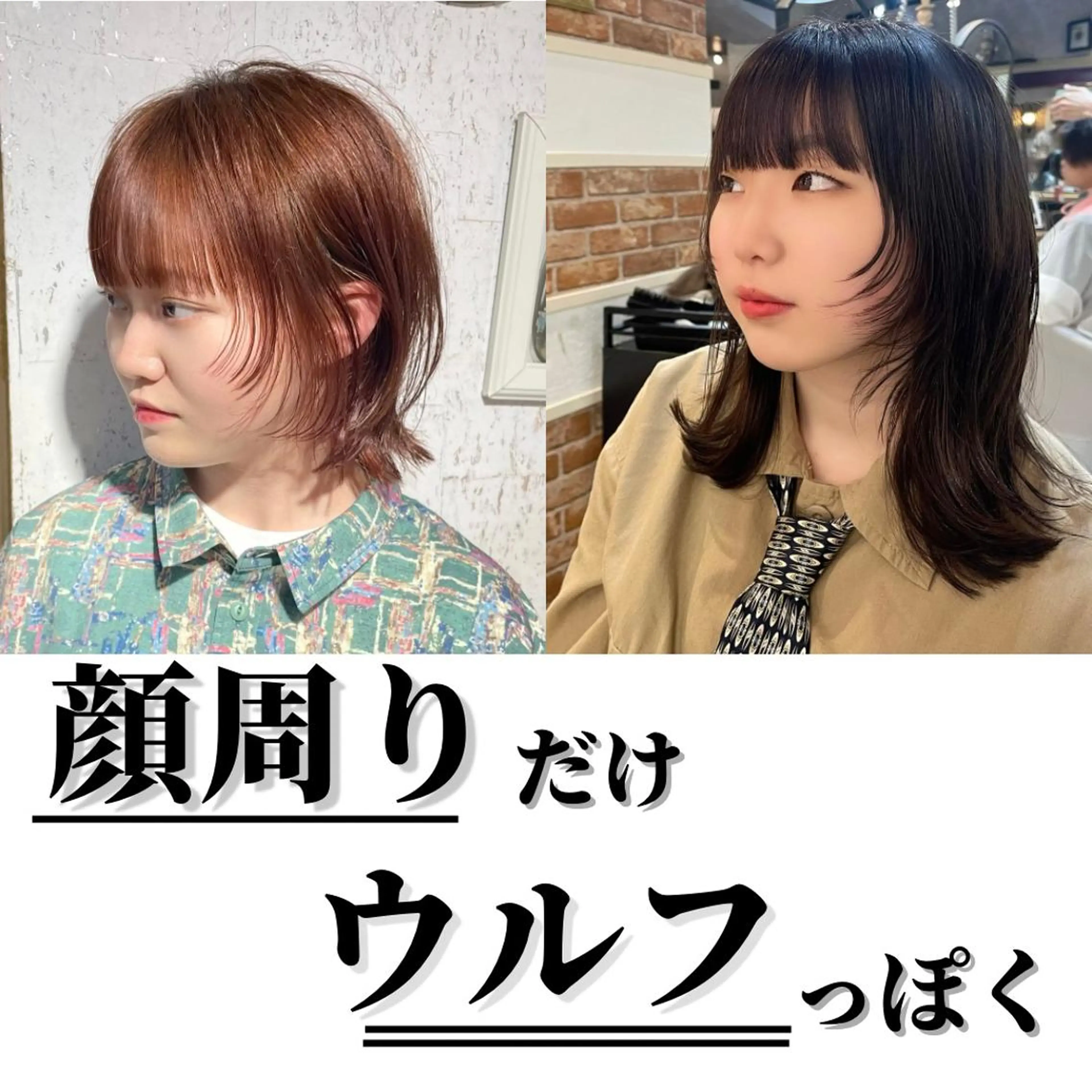 ミディアム カラー 顔周りカット ウルフカット 🫧顔周りレイヤー/ ウルフ/縮毛/白倉のヘアスタイル