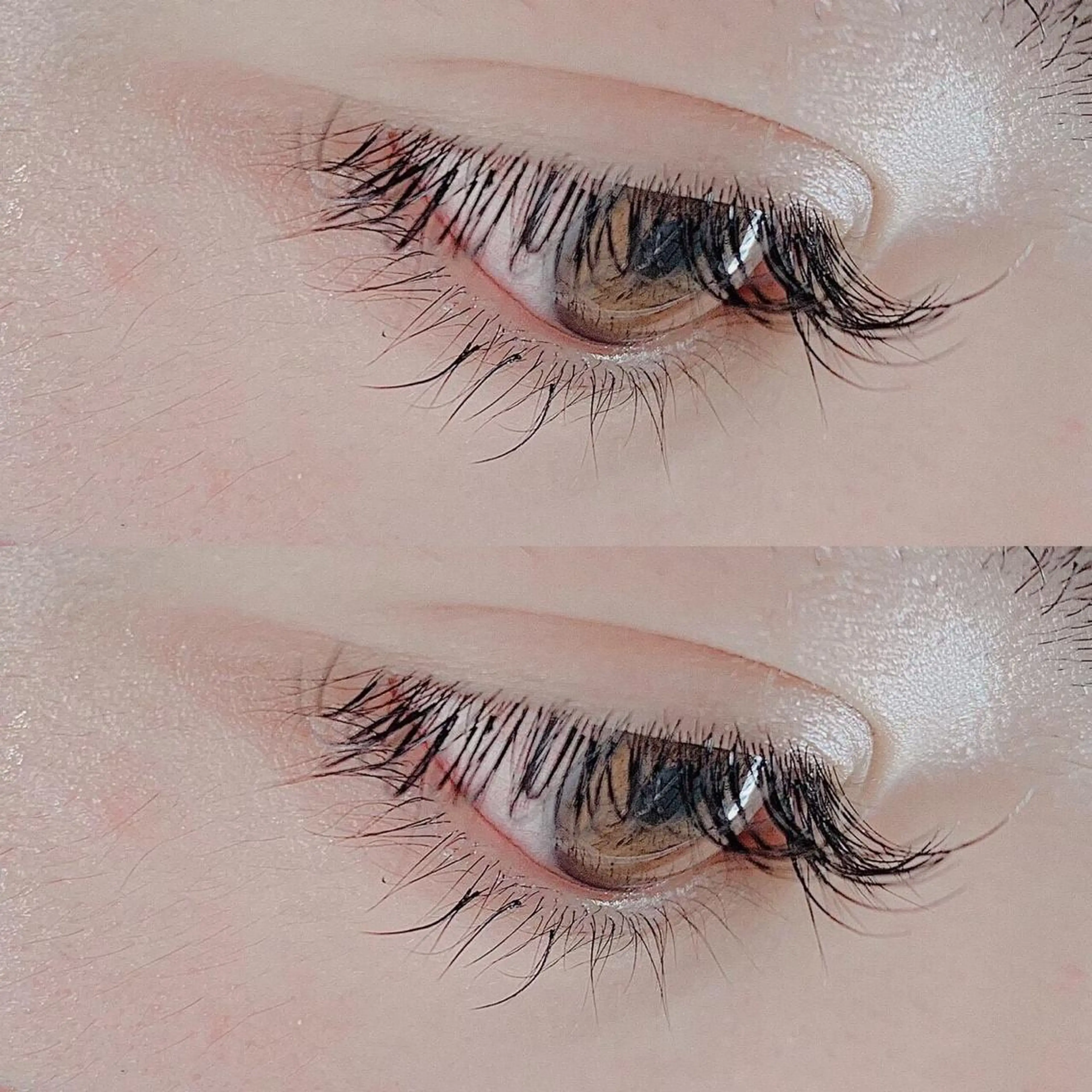 自然にボリュームを出したい方必見🥀　高級カシミヤセーブル  120本まで付け放題🌟オフ&美容成分入りコーティング付きの写真