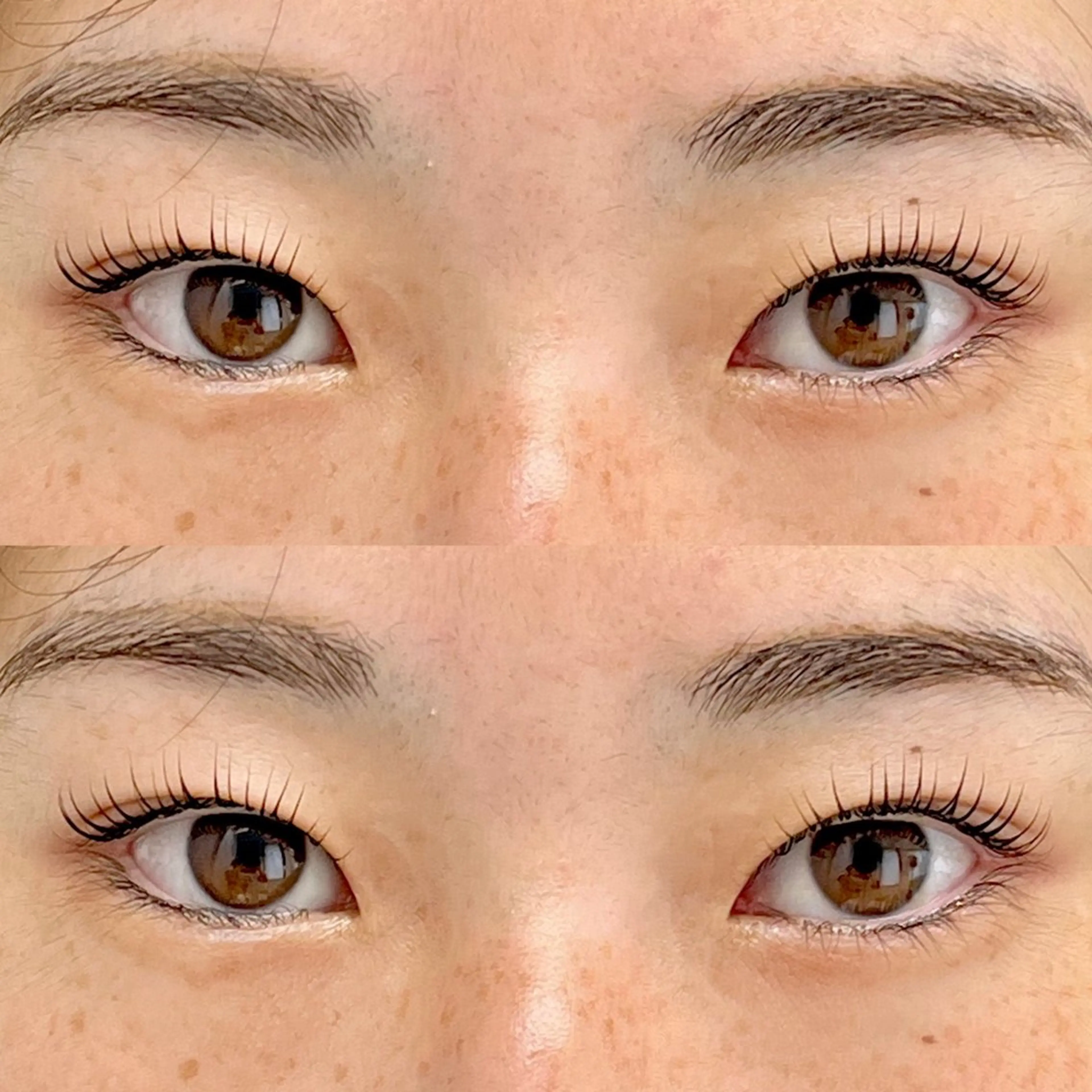 マツエク・マツパ Chihiro🕊️ 韓国パーマ/眉毛のマツエク・マツパデザイン