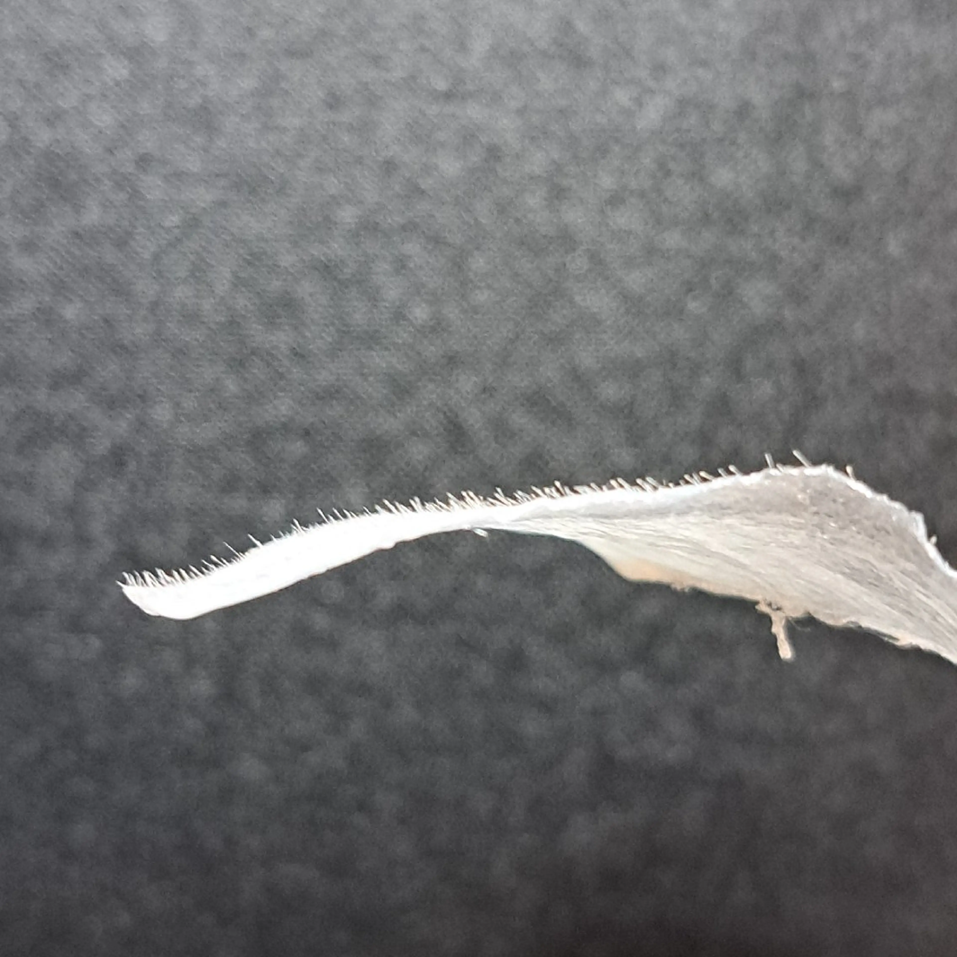 脱毛サロン Terryのエステ・リラクイメージ