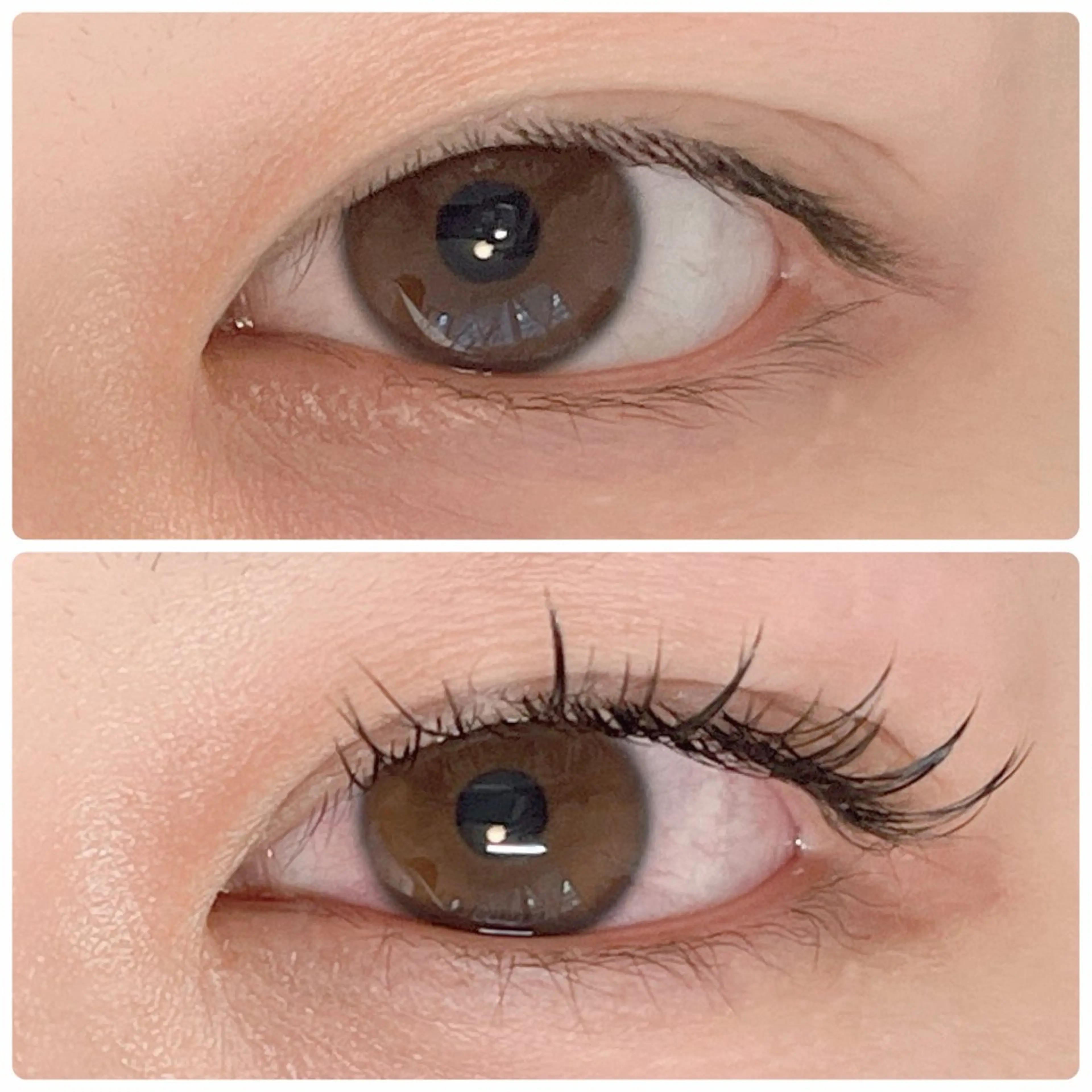 マツエク・マツパ ワンホンマツエク Porto  BELLA所属・PortoBELLA 葉山,横須賀のマツエク・マツパデザイン