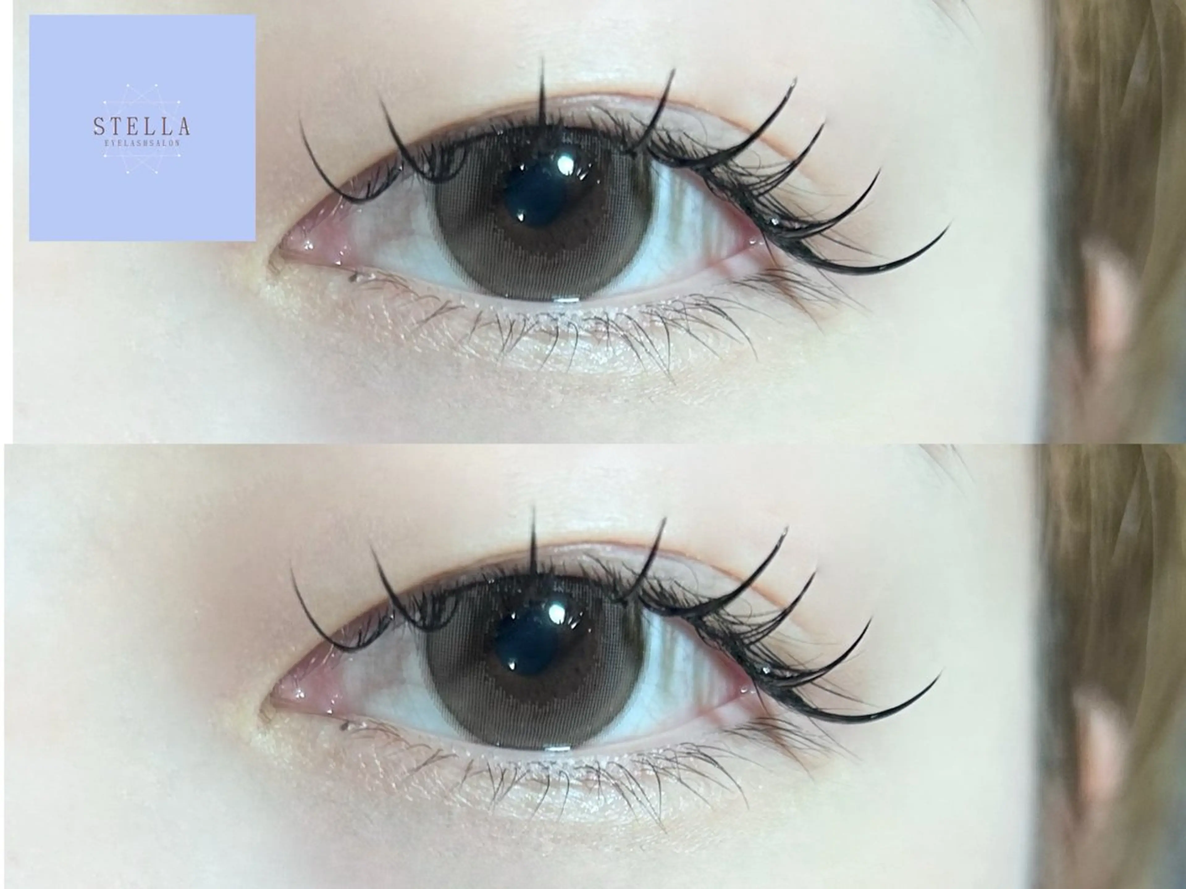 【限定】フラットラッシュ100~120本🪽ྀི+束感コーティングの写真