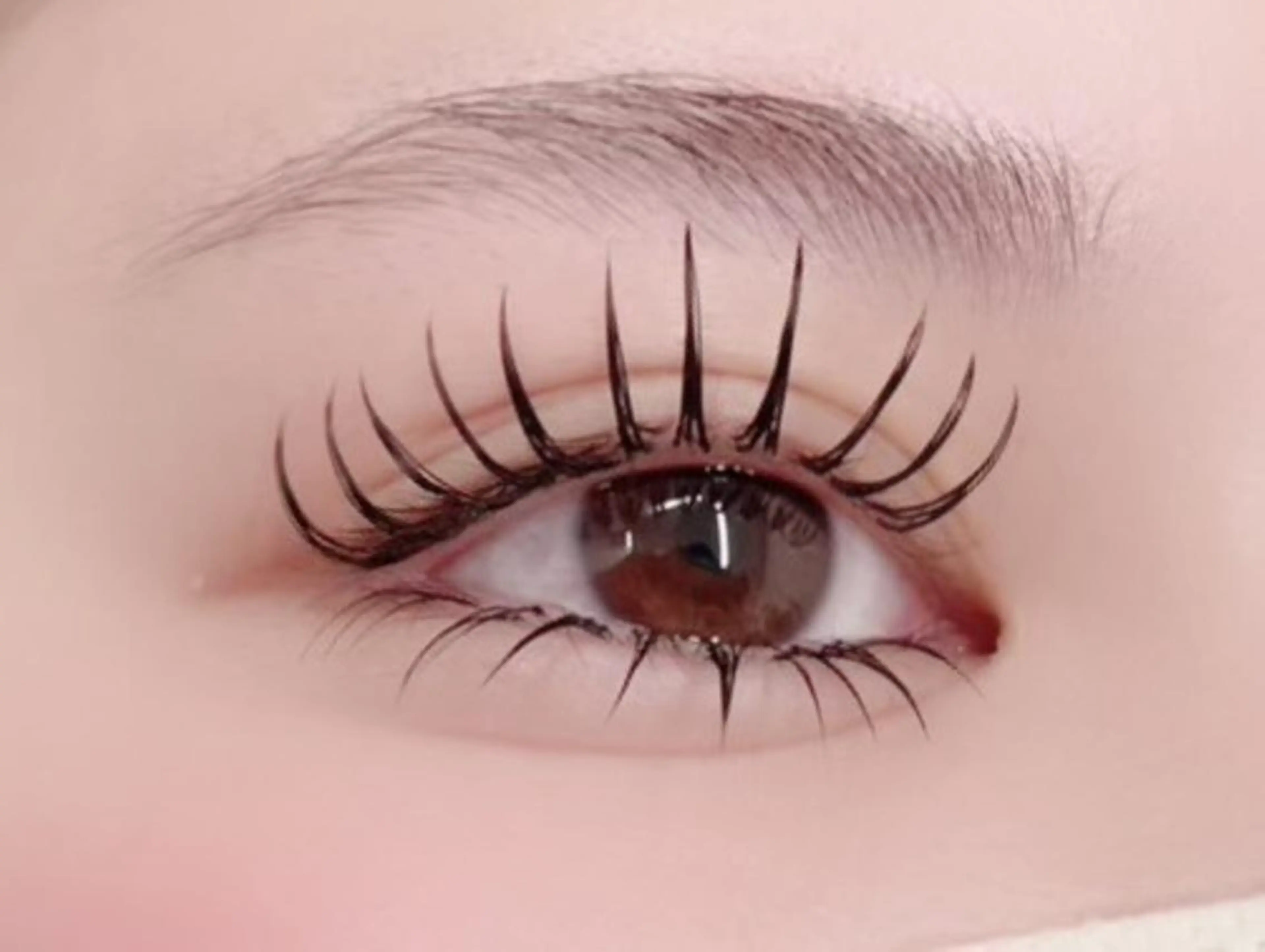 🌟&healthy or パリエク + シングル100本 【LED+500円】の写真