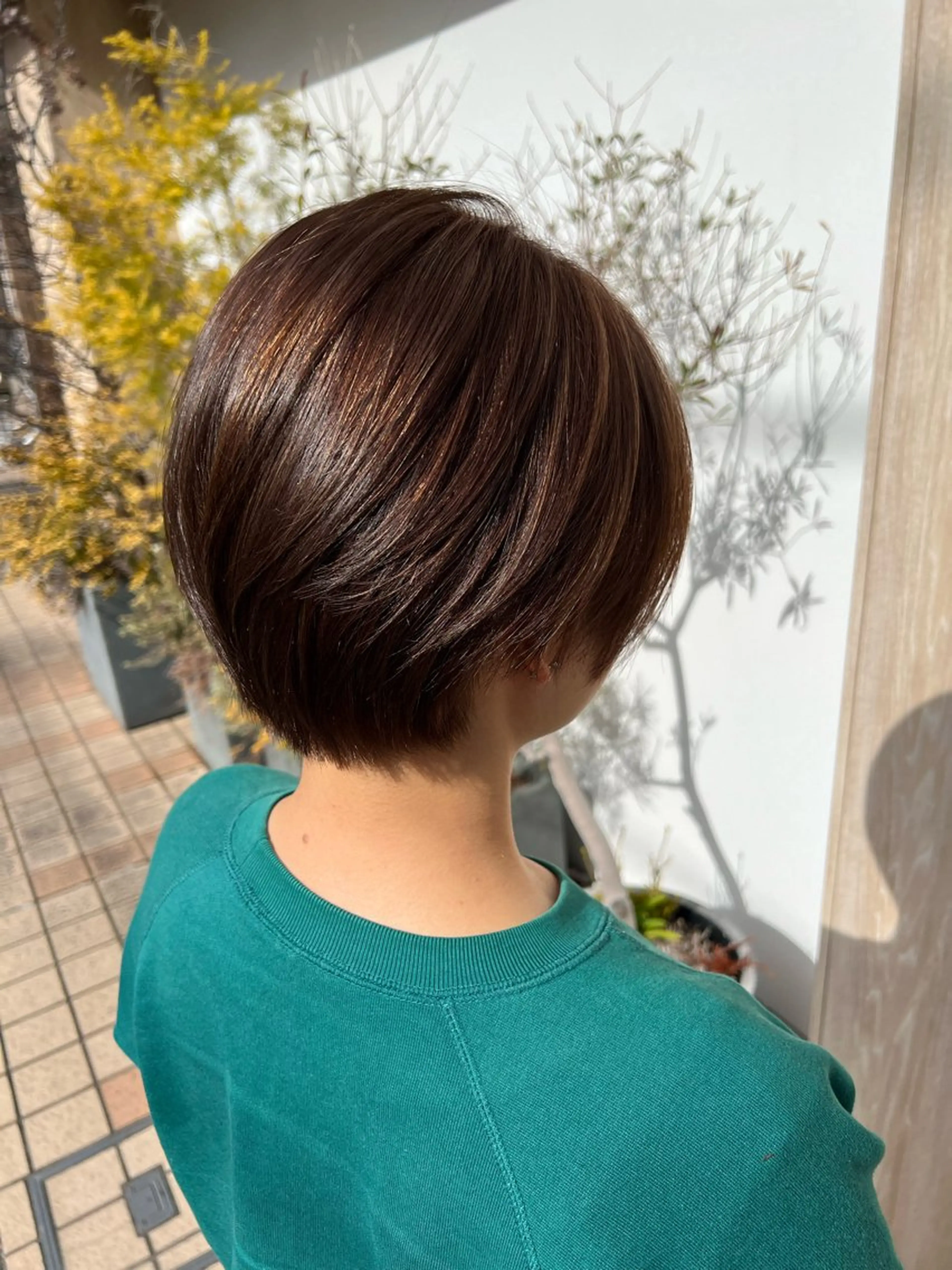 ショート 大河原 美優のヘアスタイル