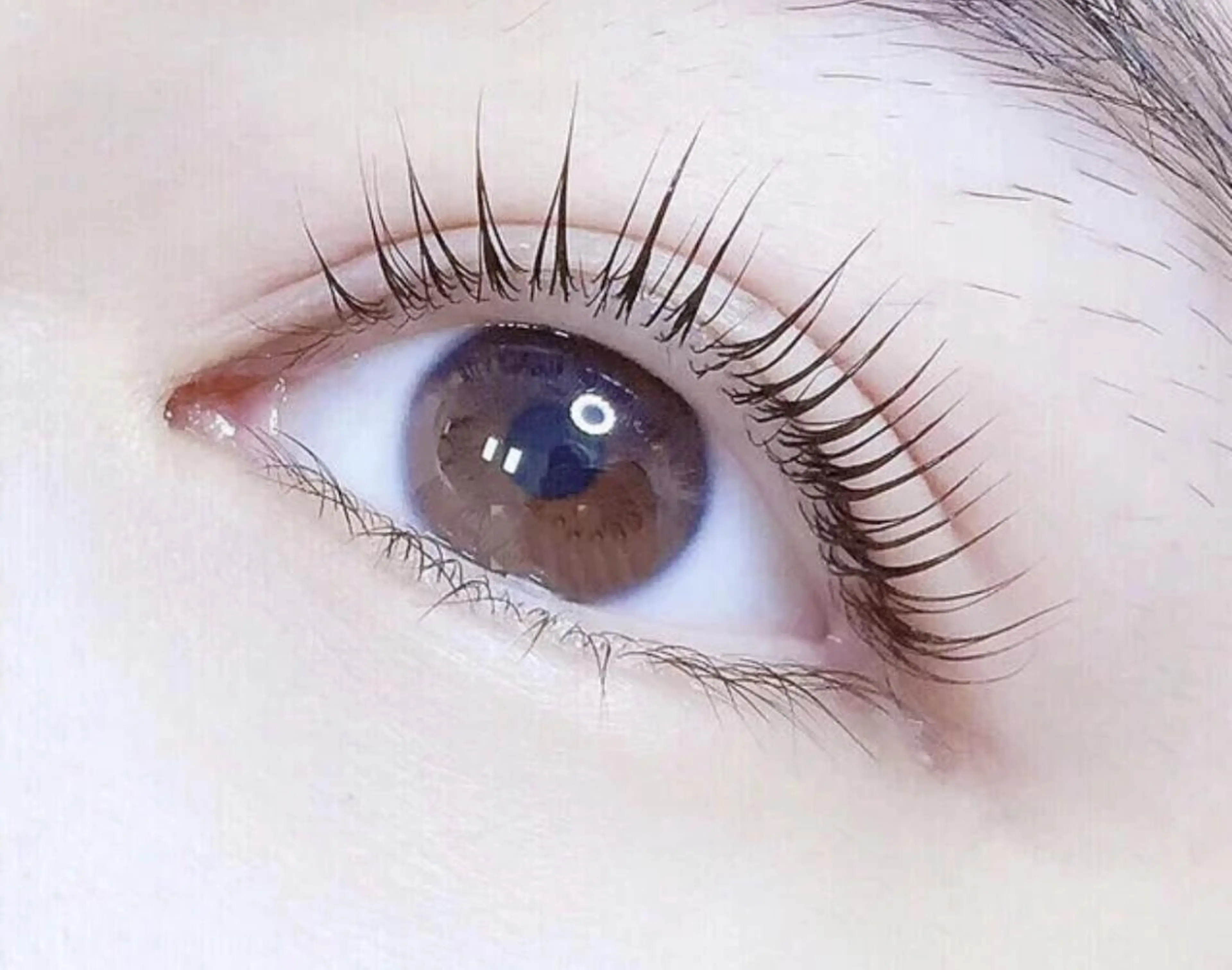 🌈期間限定パリジェンヌリフトラァシュ/美容液付きの写真