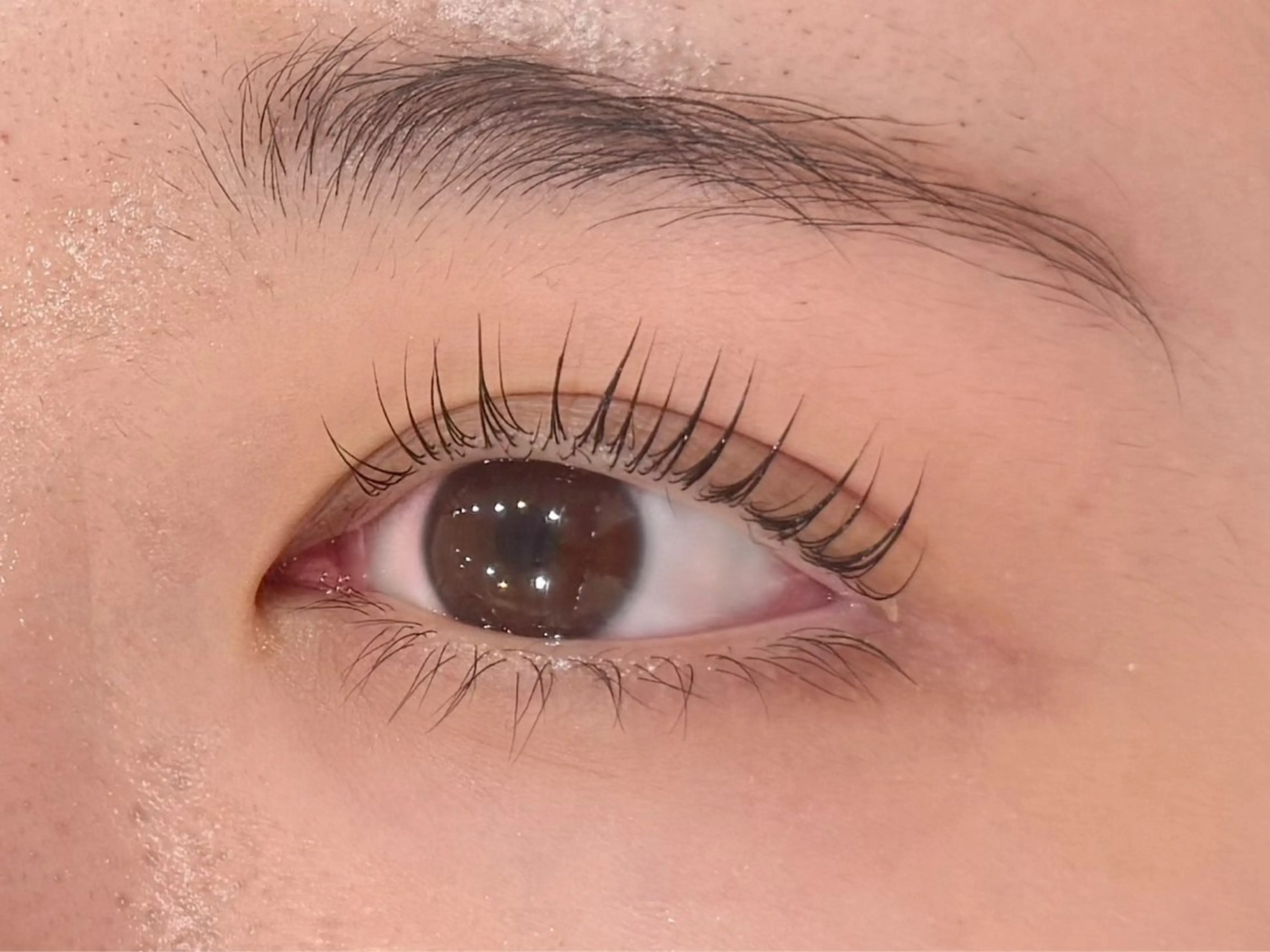 マツエク・マツパ パリジェンヌラッシュリフト vim Lash MASAKIの眉毛・アイブロウイメージ