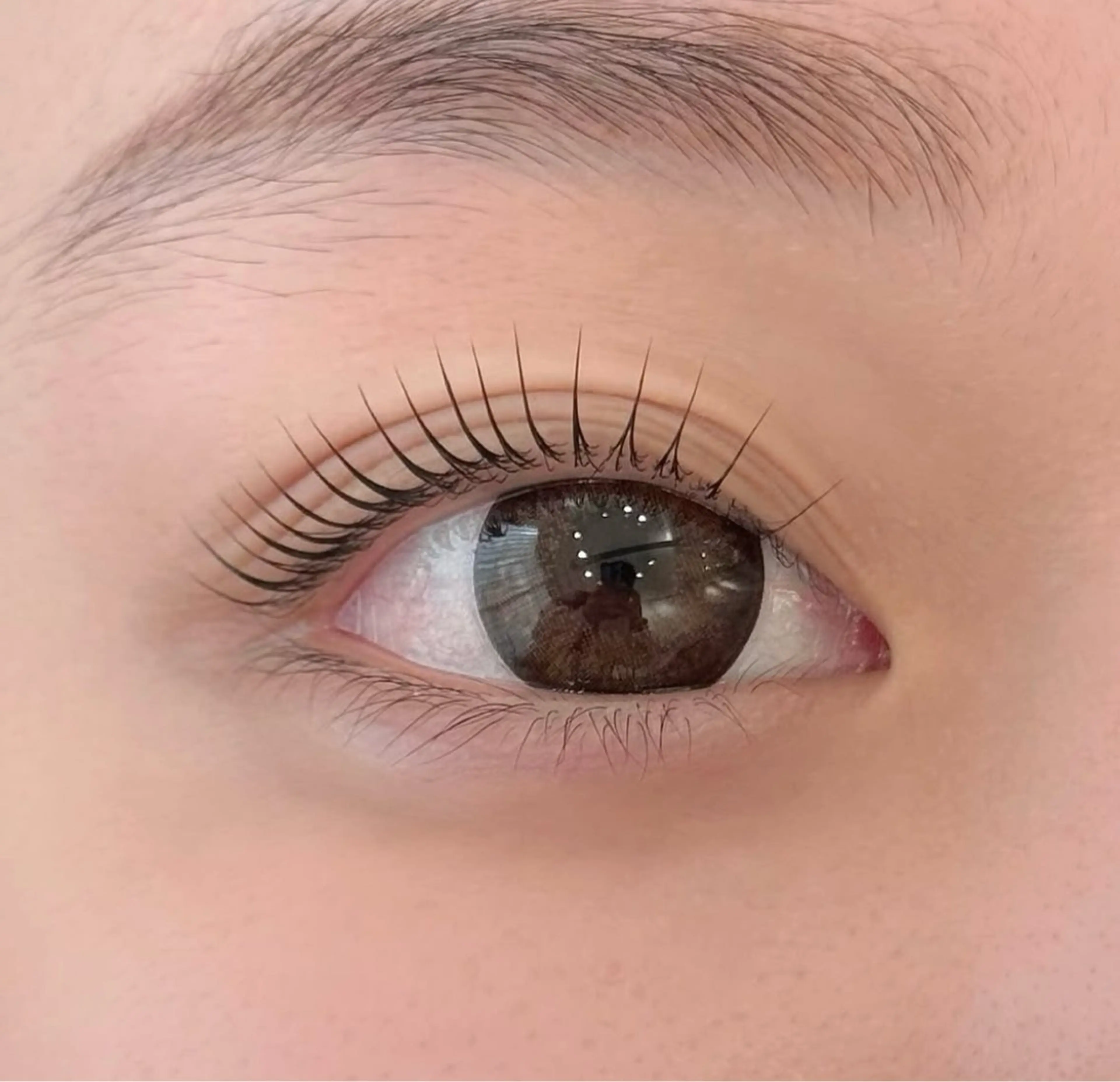 大人気🔥選べるまつ毛パーマ【国産パーマ剤使用】¥5480の写真