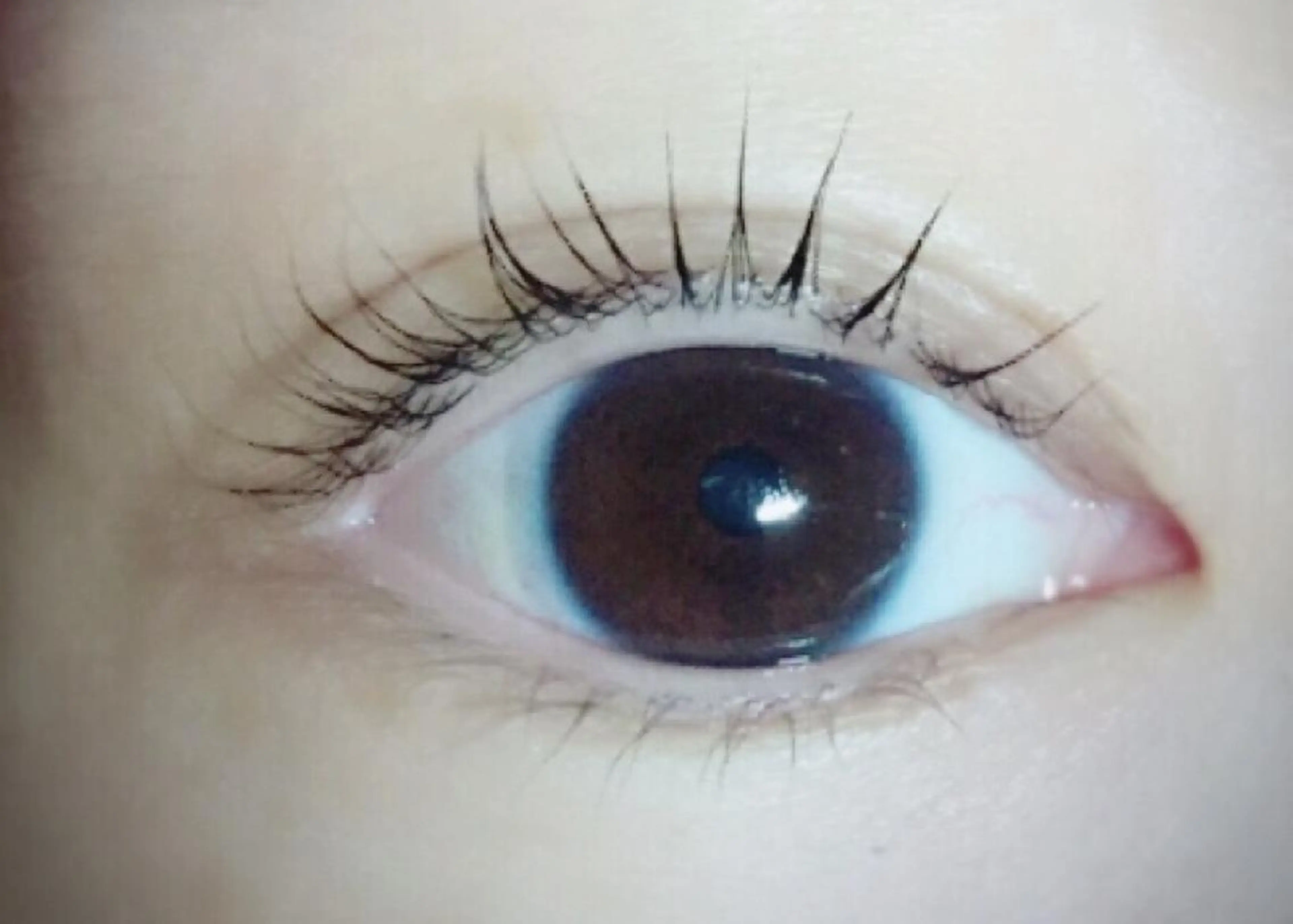 マツエク・マツパ 一重×まつ毛パーマ 服部 祐美子のマツエク・マツパデザイン