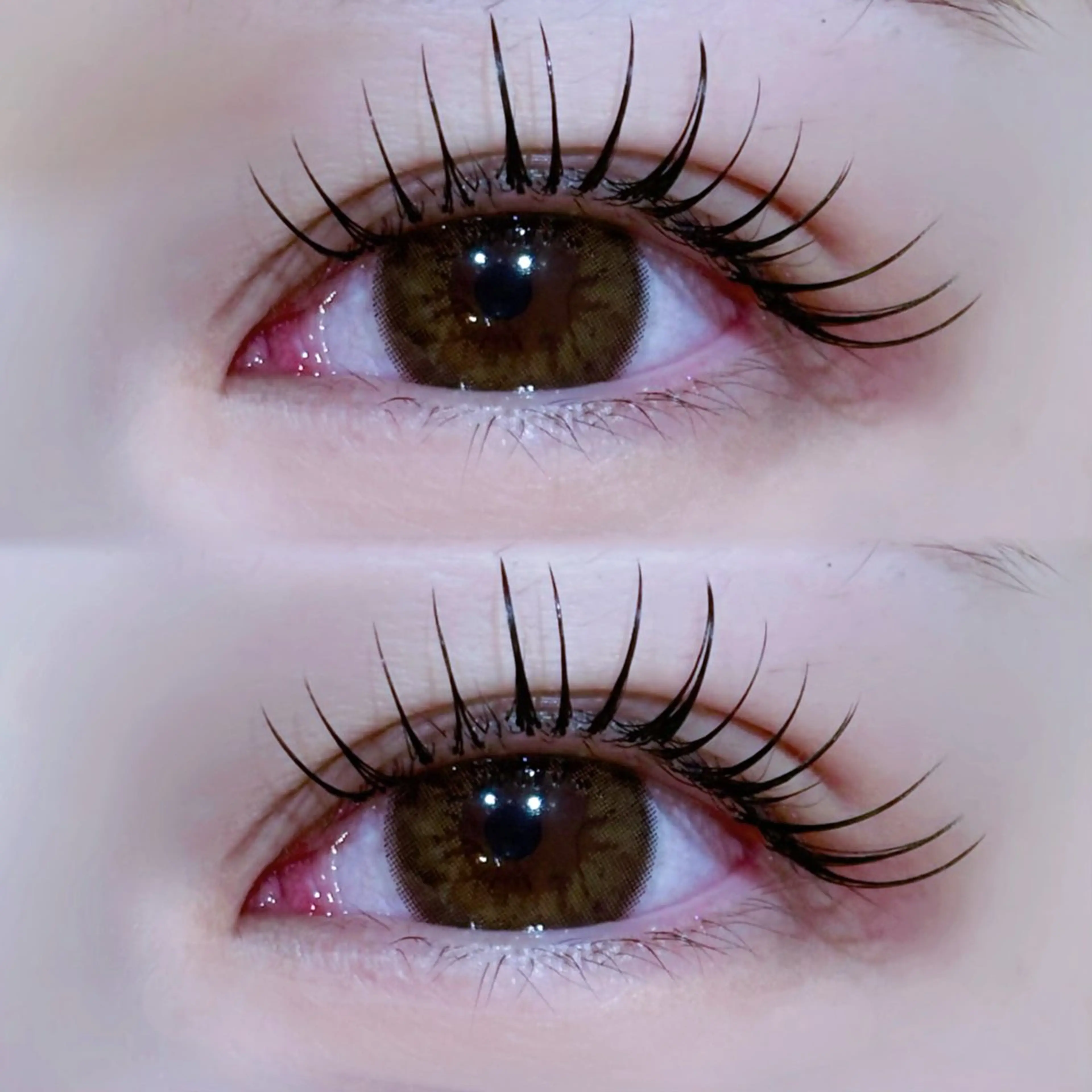 ✧オフなし✧高持続🍒LED×フラットラッシュ【140 or 160本】の写真