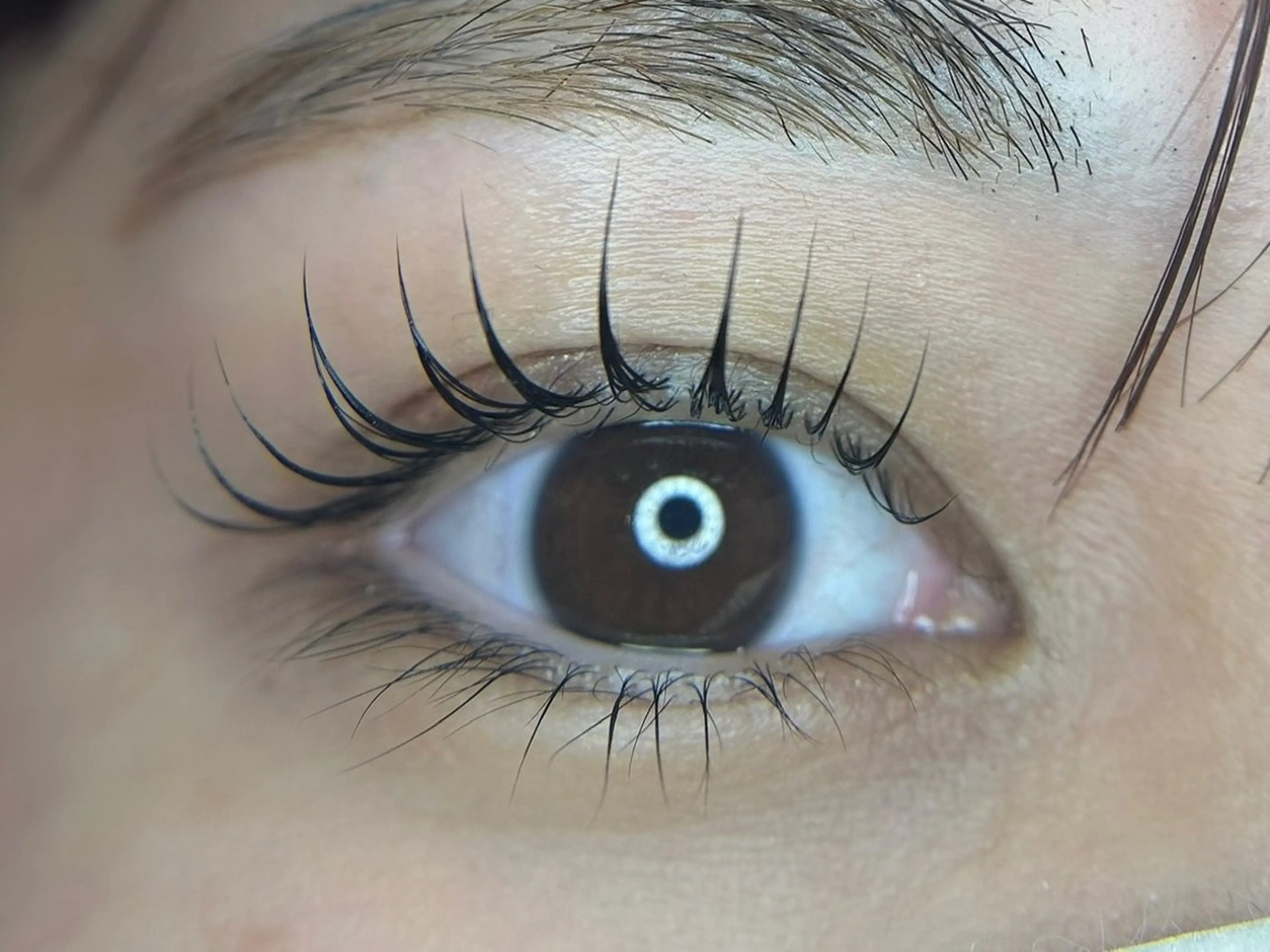 マツエク・マツパ 太田 真由のマツエク・マツパデザイン