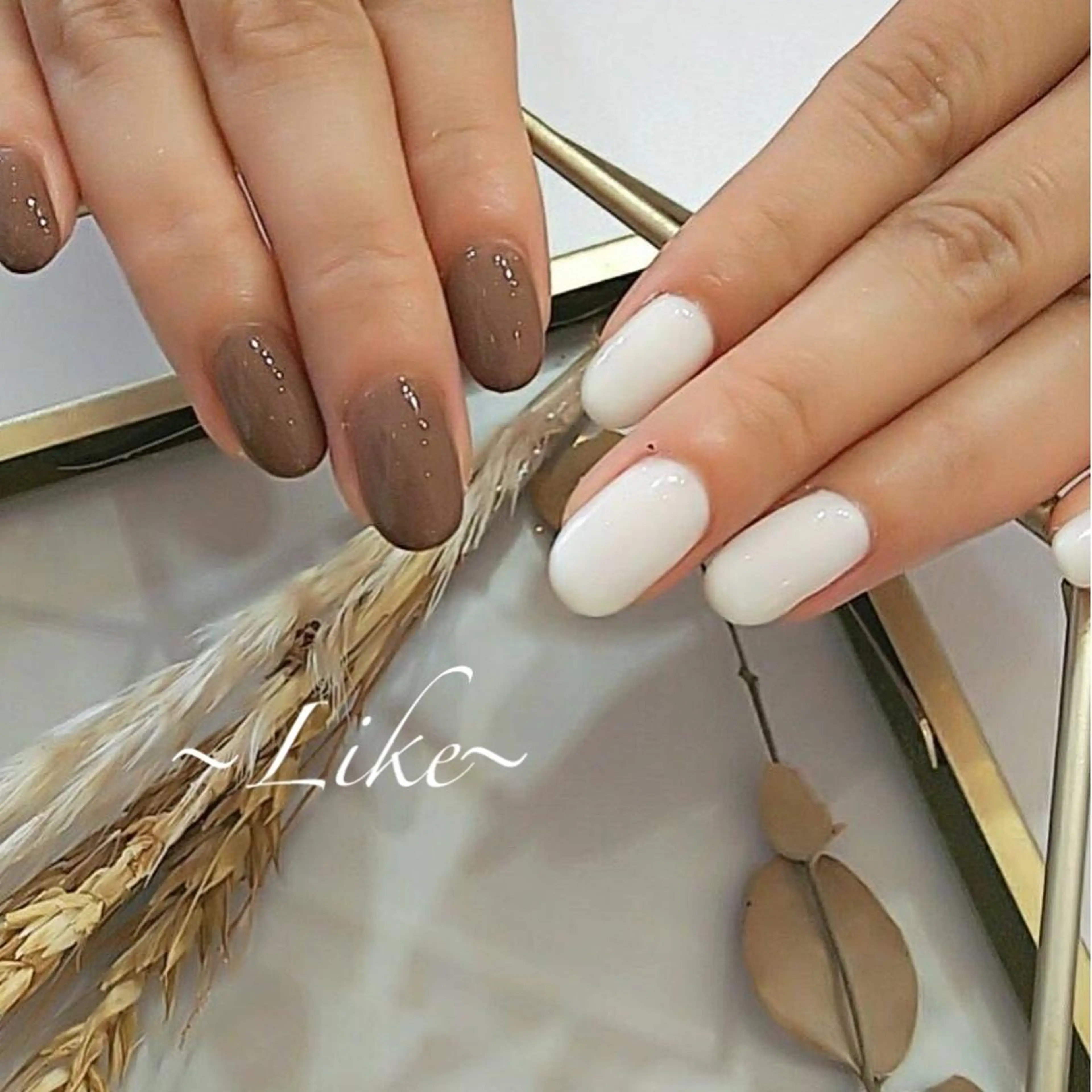 ネイル ワンカラーネイル Likeモデル 募集中のネイルデザイン