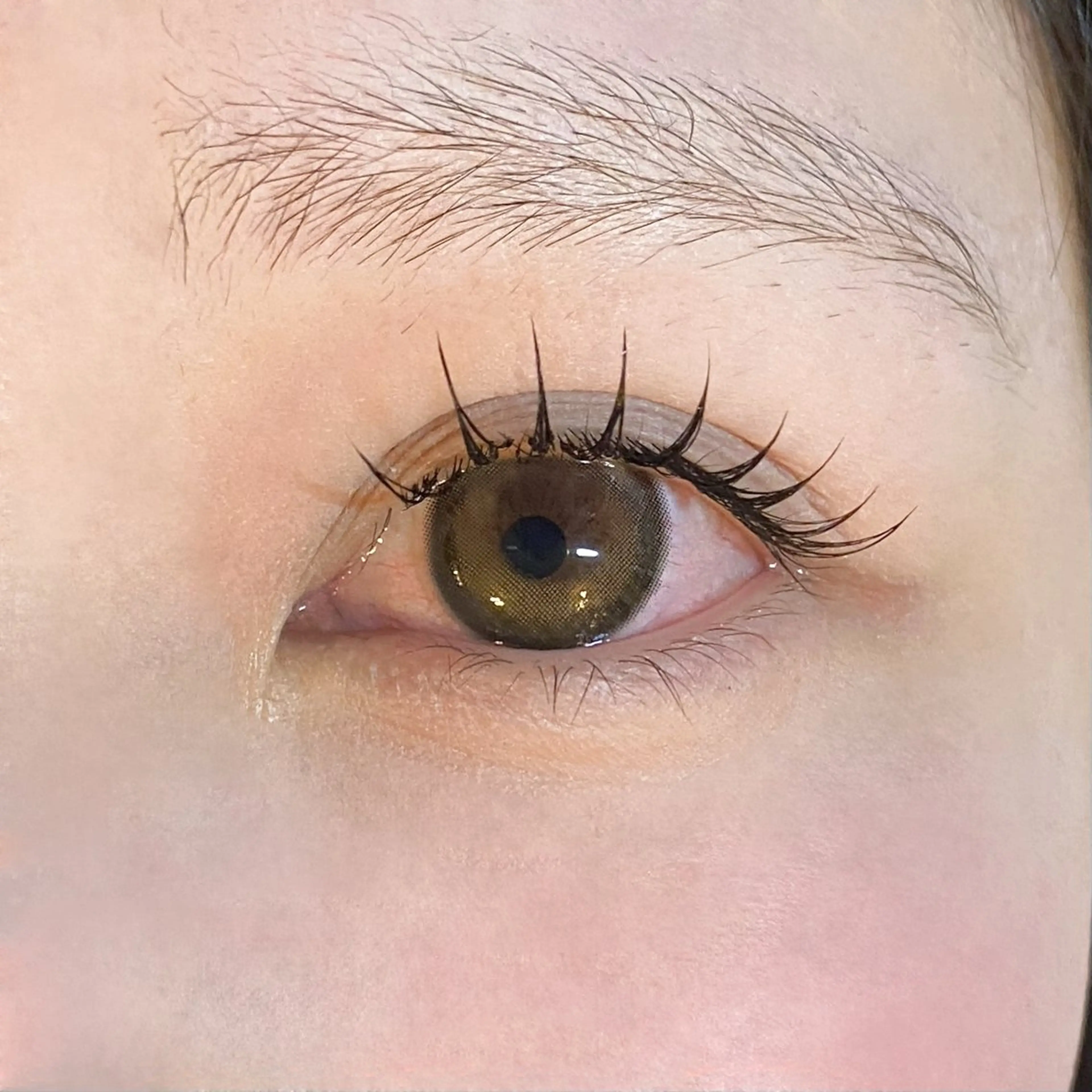 マツエク・マツパ 🦋ROAR🦋 yukiのマツエク・マツパデザイン