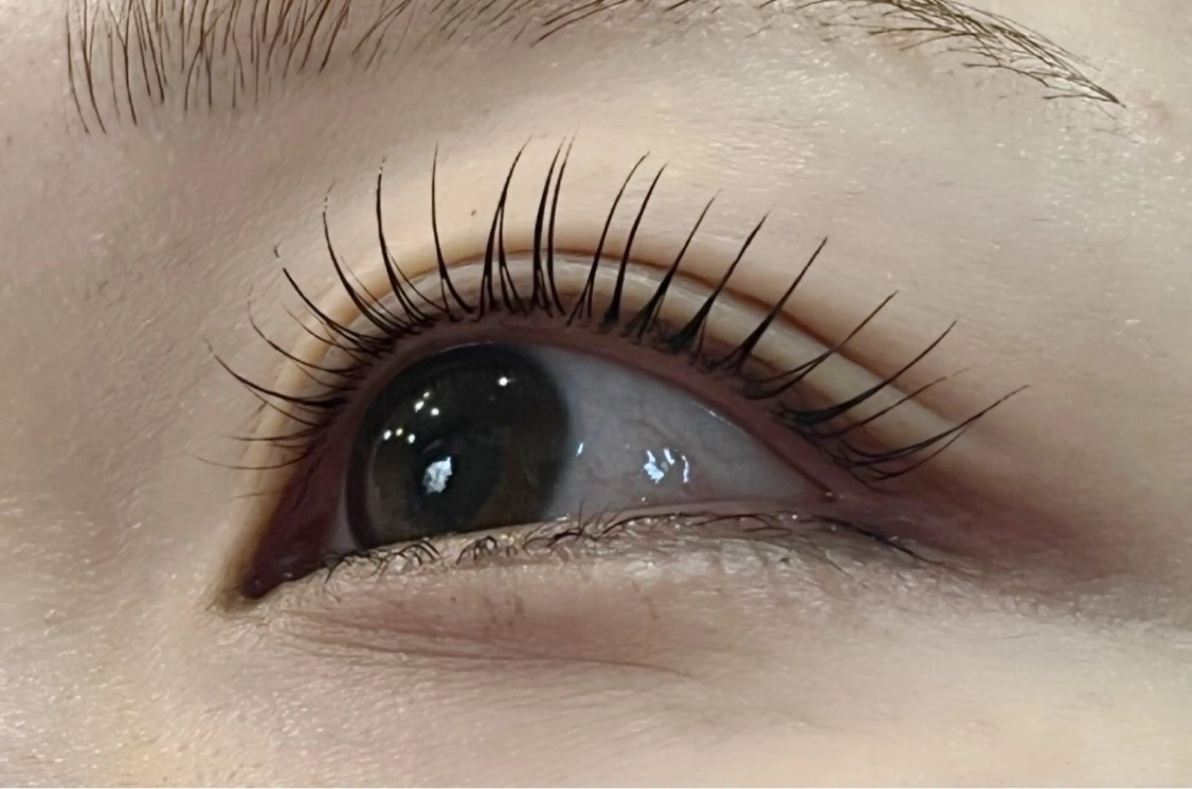 マツエク・マツパ Private Garden Lua所属・Eyelash Luaのマツエク・マツパデザイン