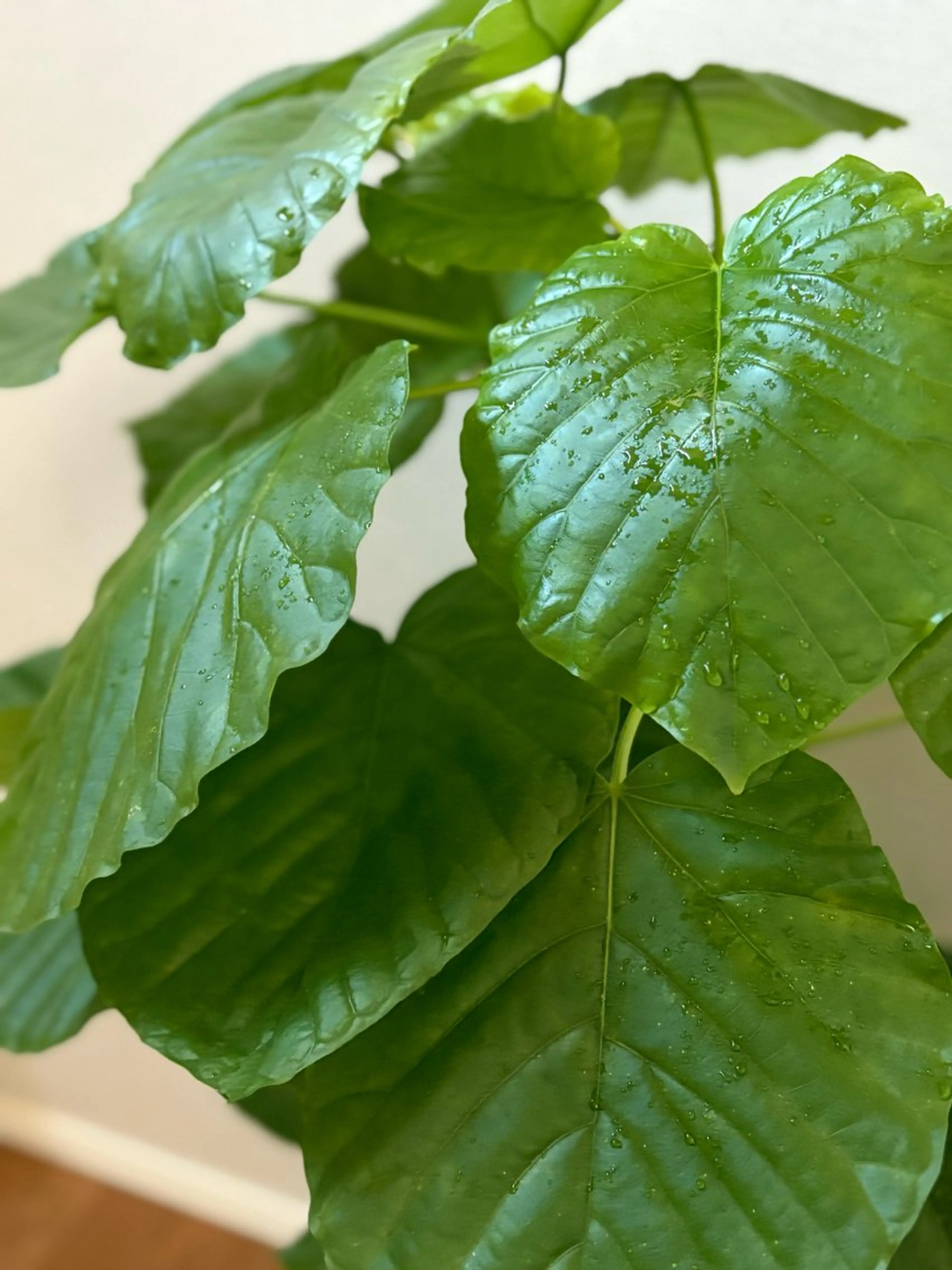 漢方温活マッサージ ［THE28.］のエステ・リラクイメージ