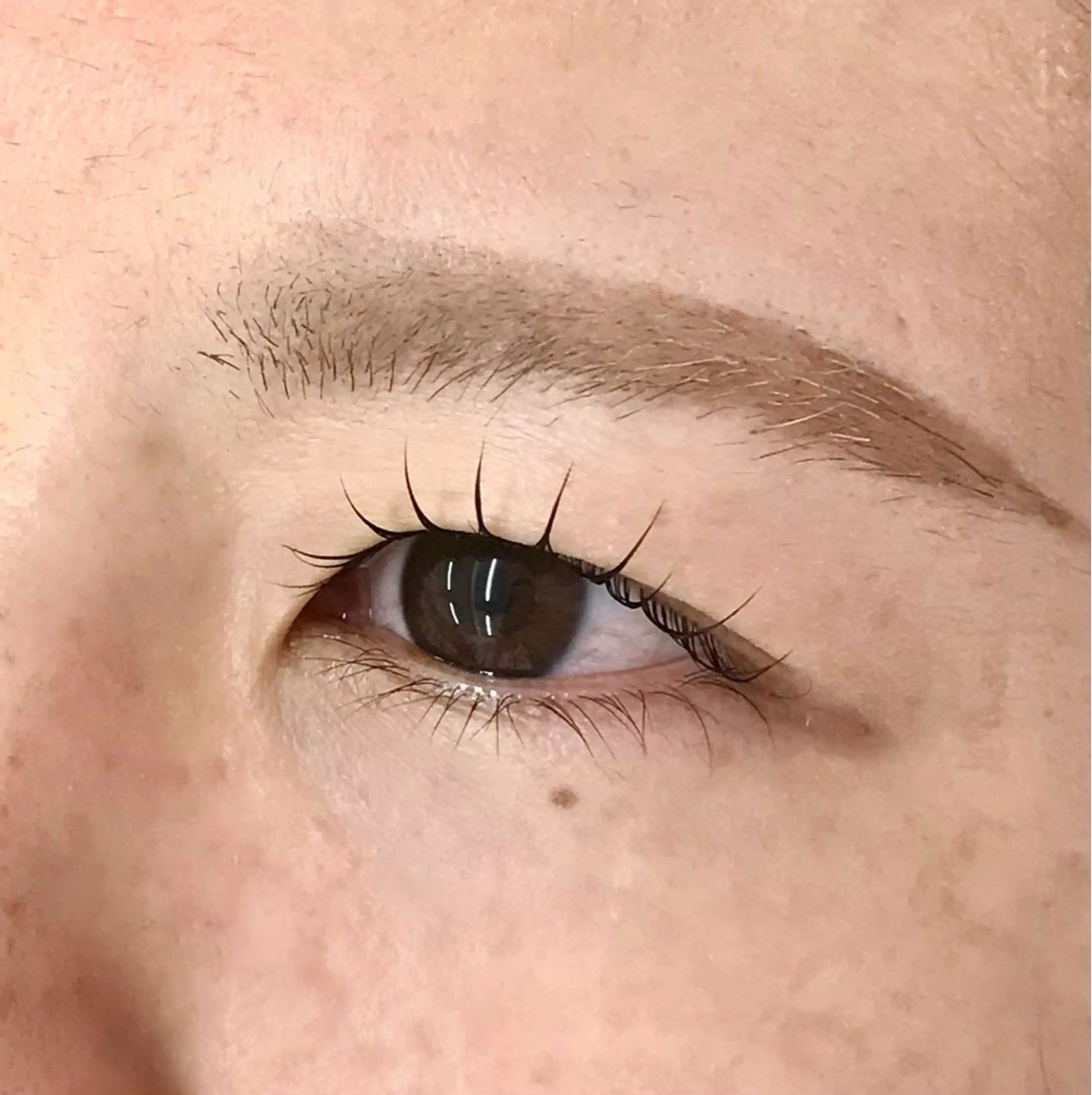 マツエク・マツパ uland yuzukiの眉毛・アイブロウイメージ