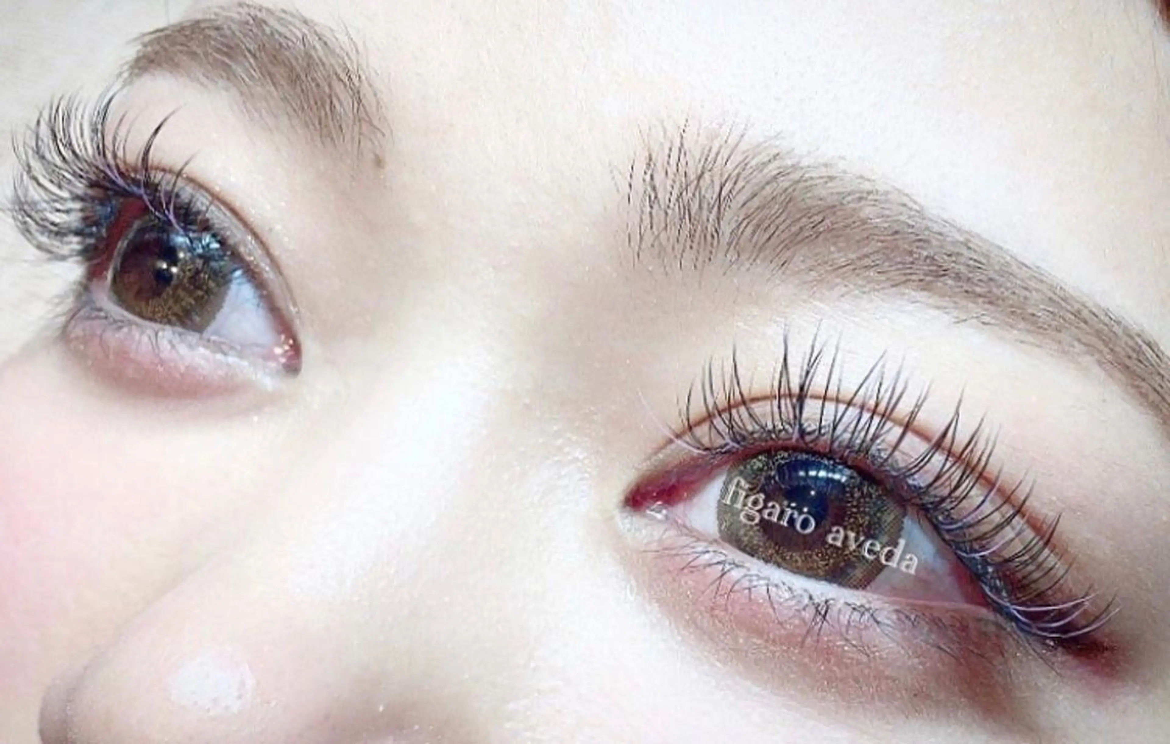 高級エクステフラットマットラッシュ100本✨オフ無料✨の写真