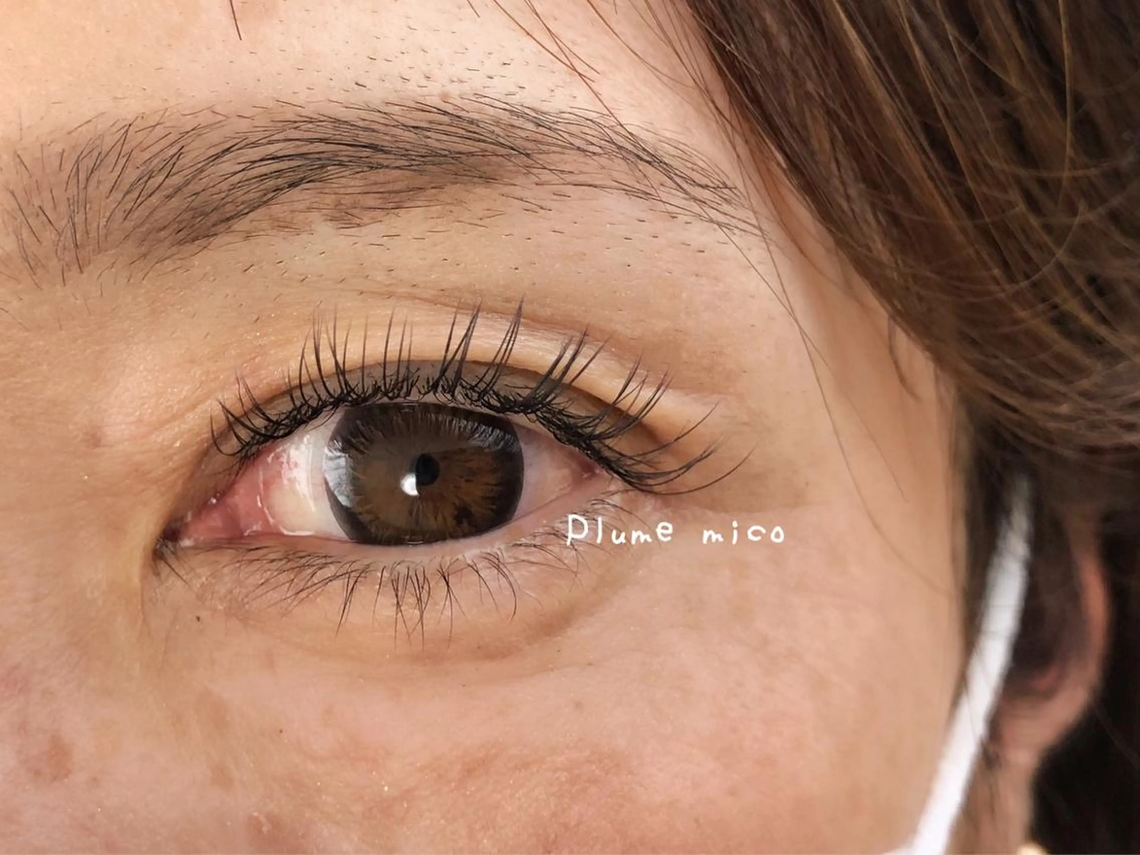 フラットラッシュ100本の写真